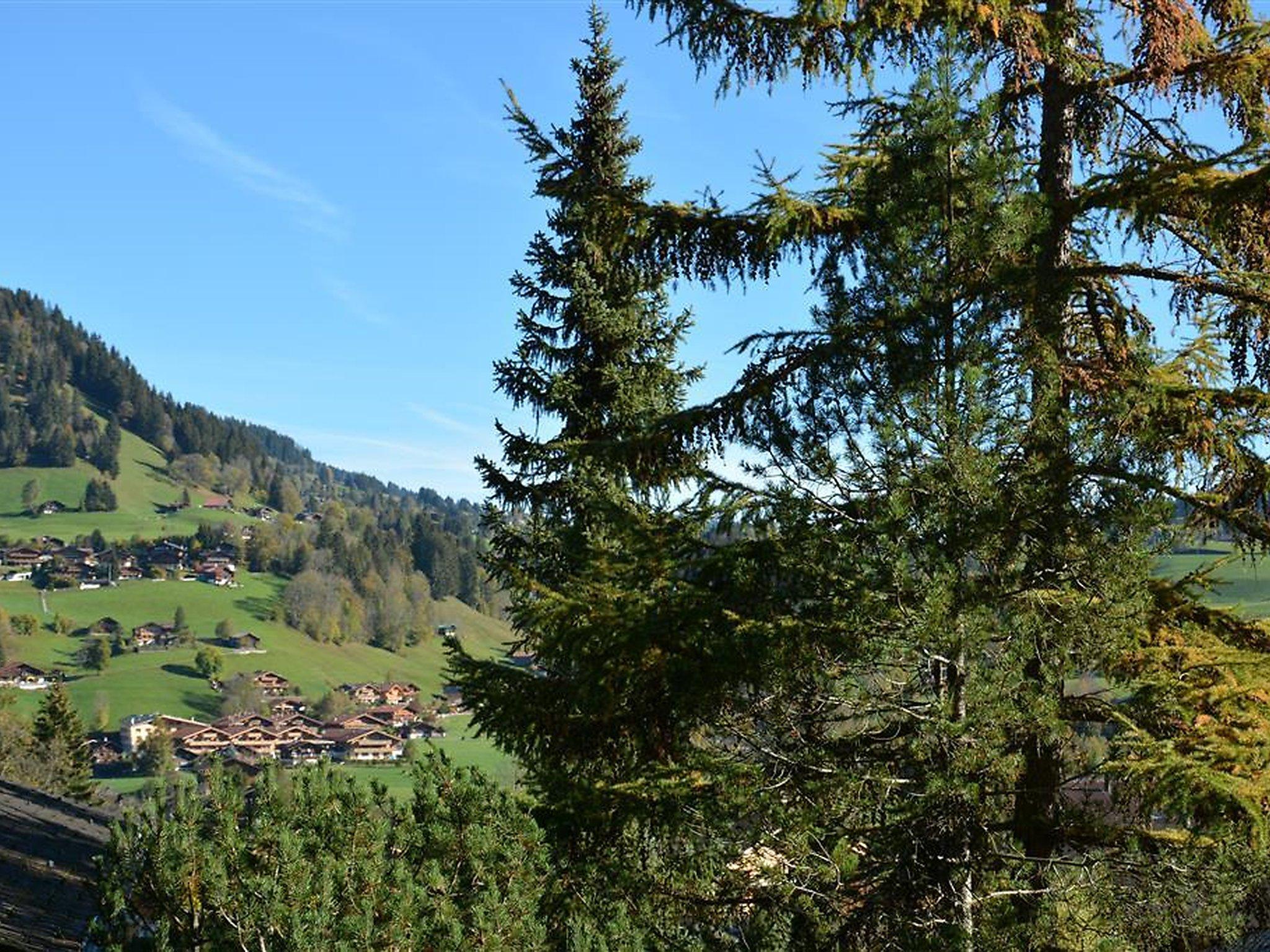 Photo 11 - 1 bedroom Apartment in Saanen