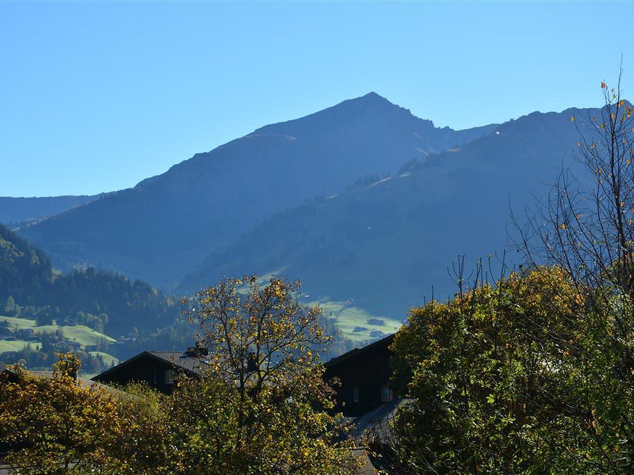 Photo 8 - 1 bedroom Apartment in Saanen