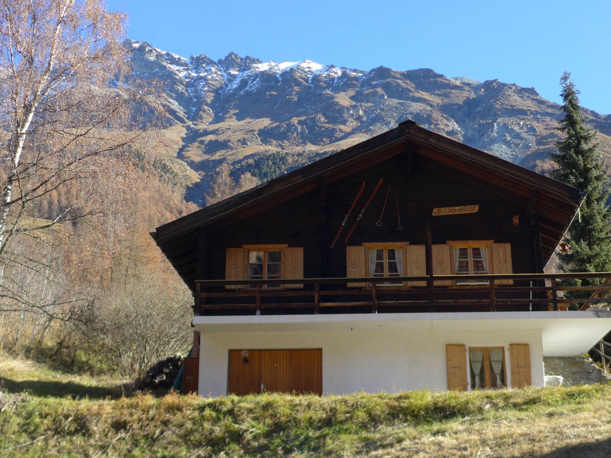 Foto 1 - Casa de 5 habitaciones en Anniviers con jardín y vistas a la montaña