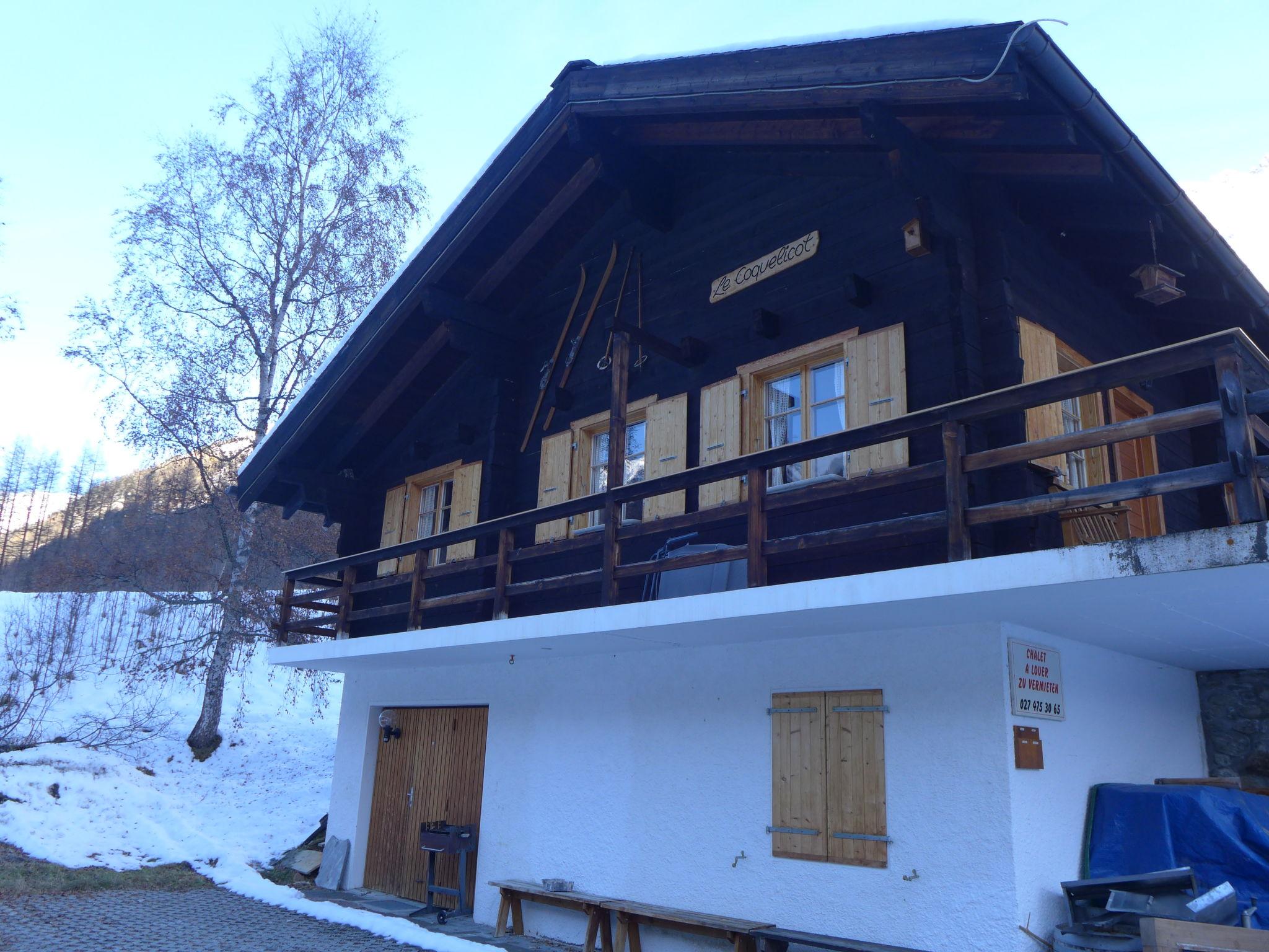 Photo 26 - Maison de 5 chambres à Anniviers avec jardin et vues sur la montagne