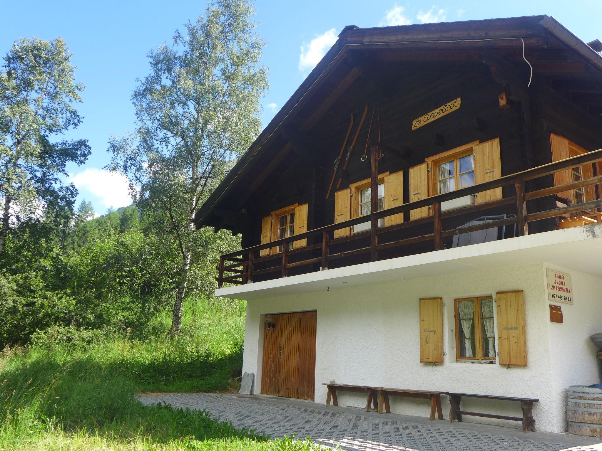 Foto 21 - Casa de 5 quartos em Anniviers com jardim e vista para a montanha