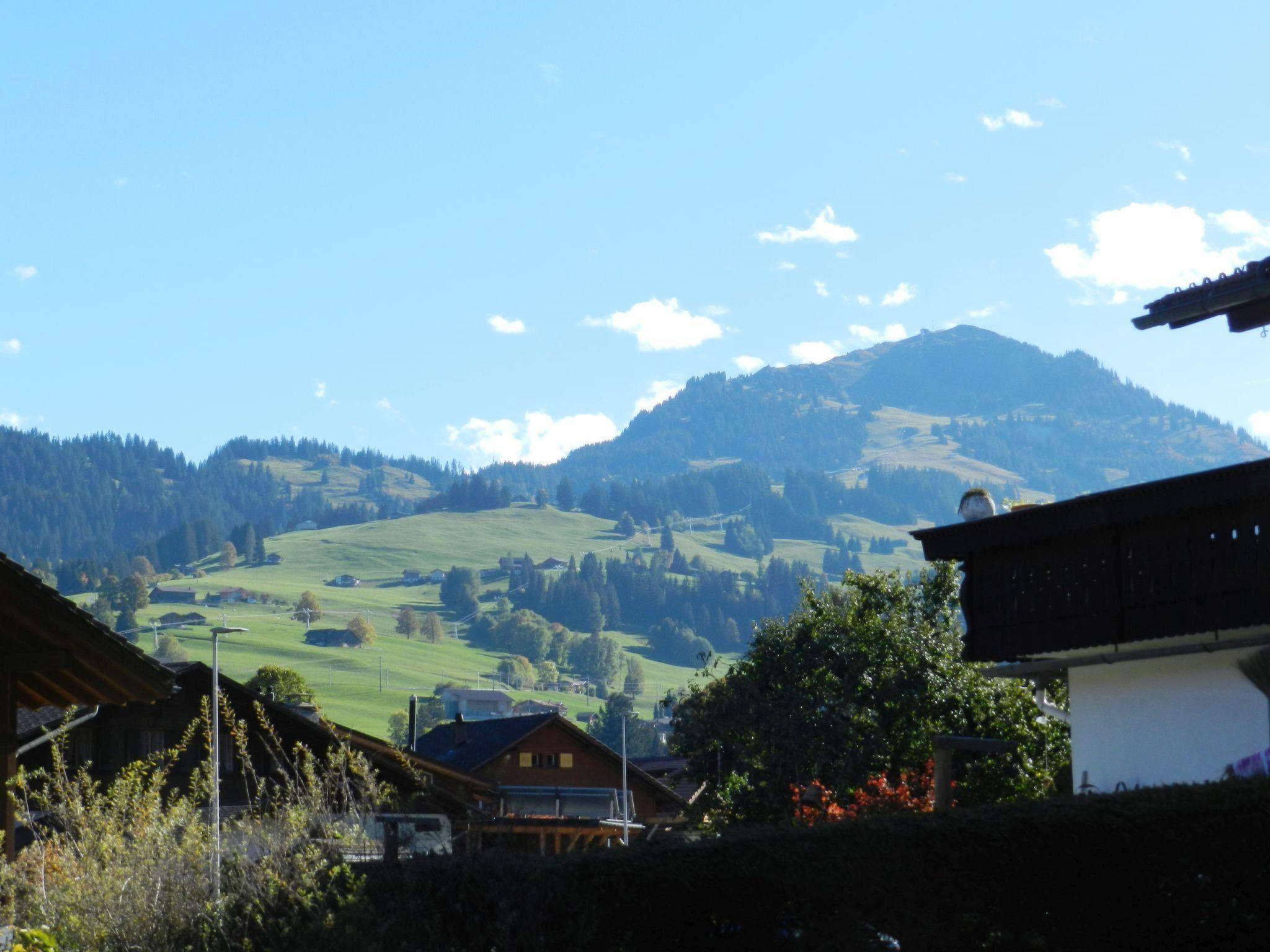 Photo 9 - 1 bedroom Apartment in Zweisimmen