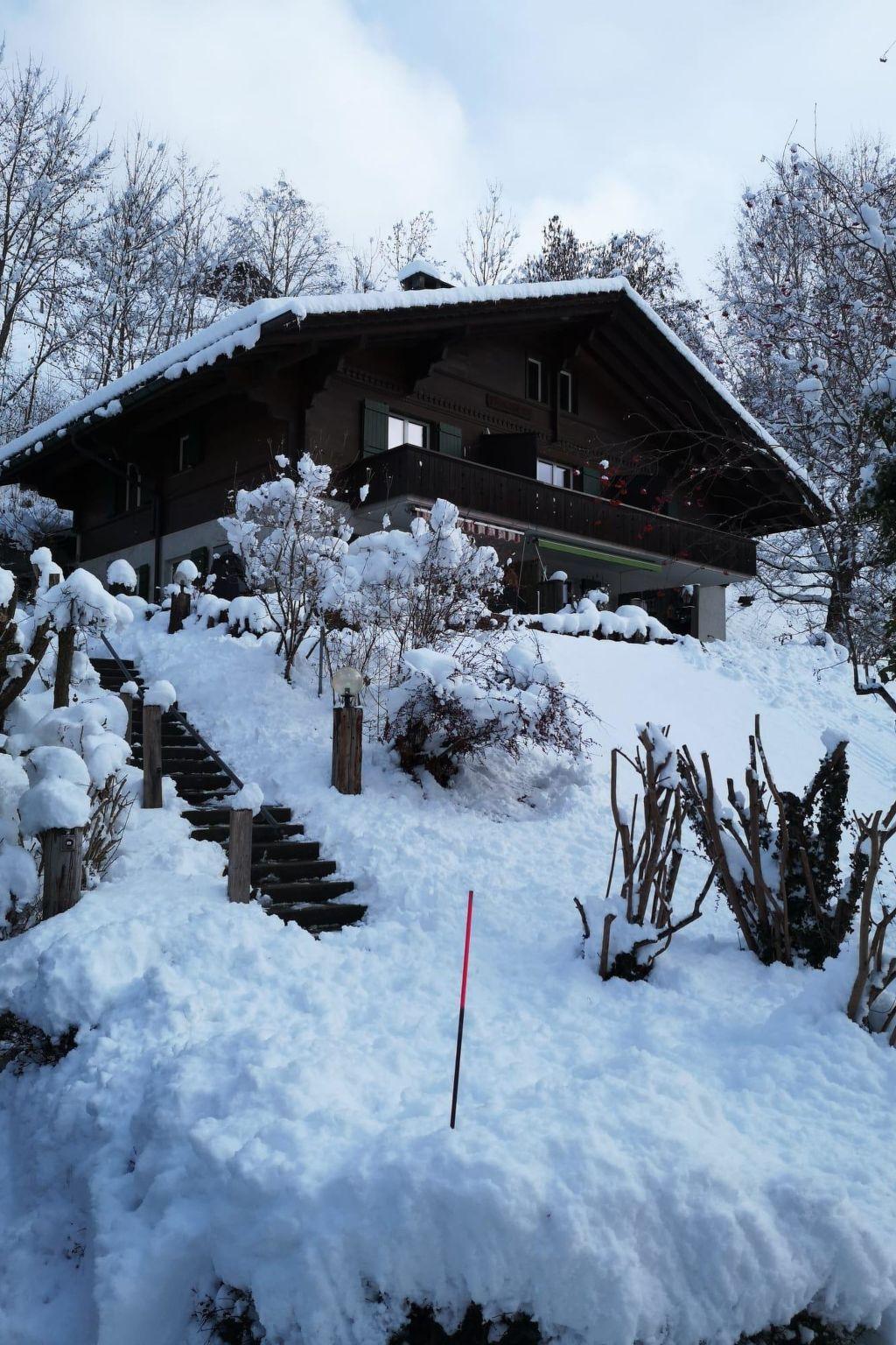 Photo 3 - Appartement de 3 chambres à Lenk avec jardin et sauna