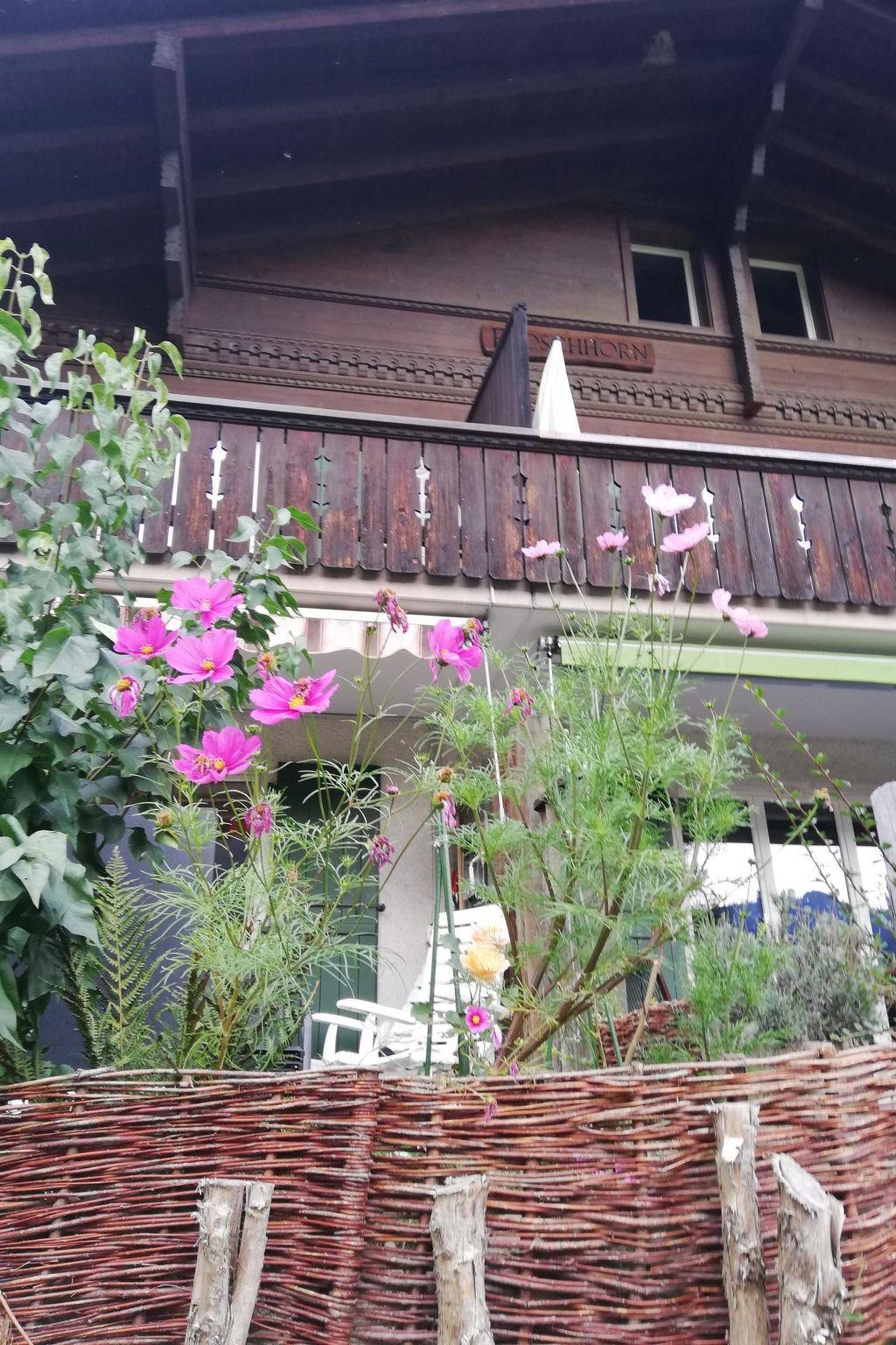 Foto 24 - Appartamento con 3 camere da letto a Lenk con giardino e sauna