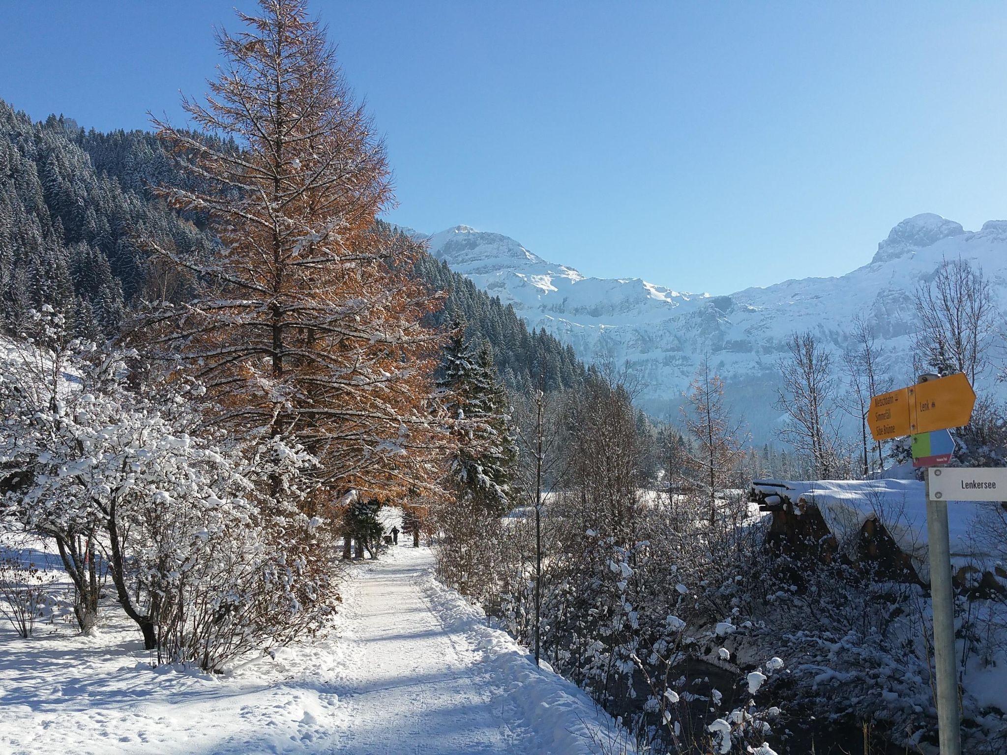 Photo 14 - 3 bedroom Apartment in Lenk with garden and sauna