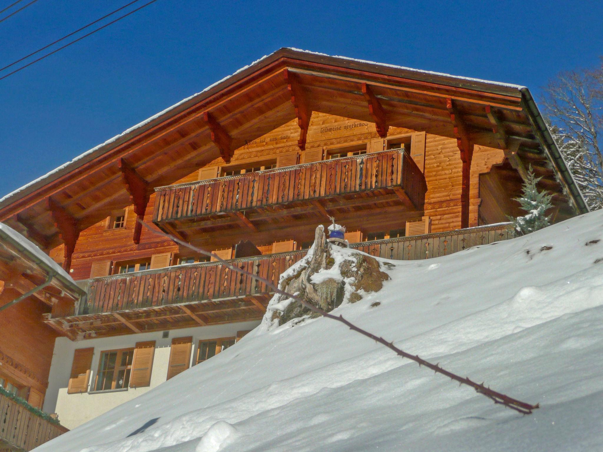 Foto 17 - Apartamento de 1 habitación en Lauterbrunnen con vistas a la montaña