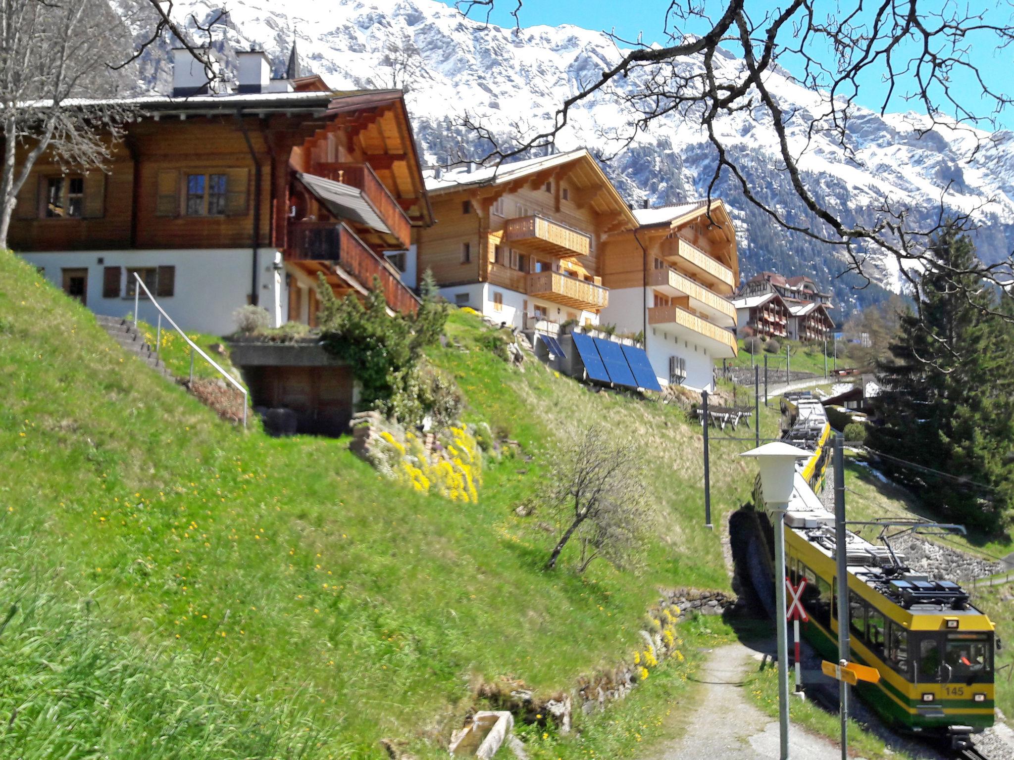 Foto 15 - Apartamento de 1 habitación en Lauterbrunnen con vistas a la montaña
