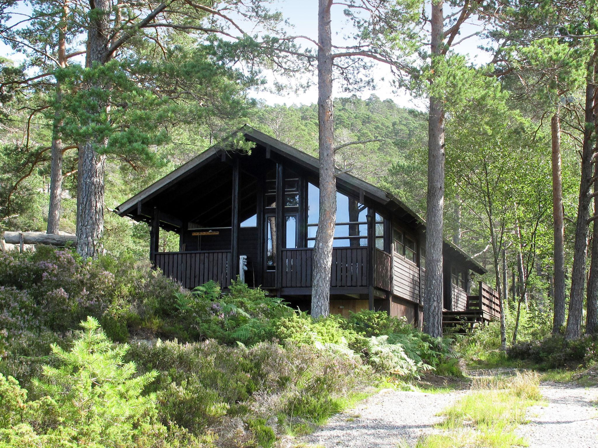 Foto 20 - Casa de 2 habitaciones en Eikefjord con terraza