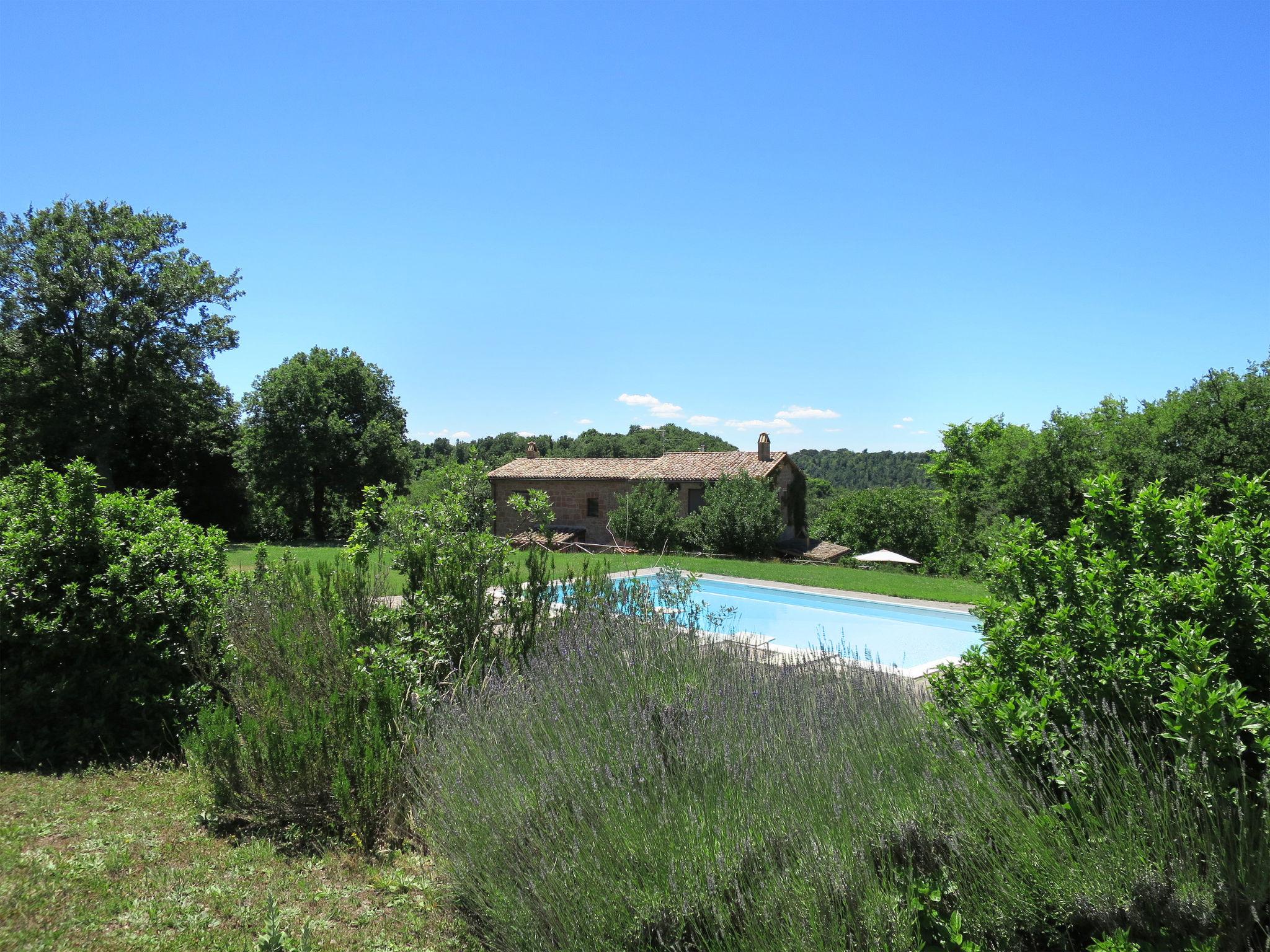 Foto 4 - Casa de 6 habitaciones en Acquapendente con piscina privada y jardín