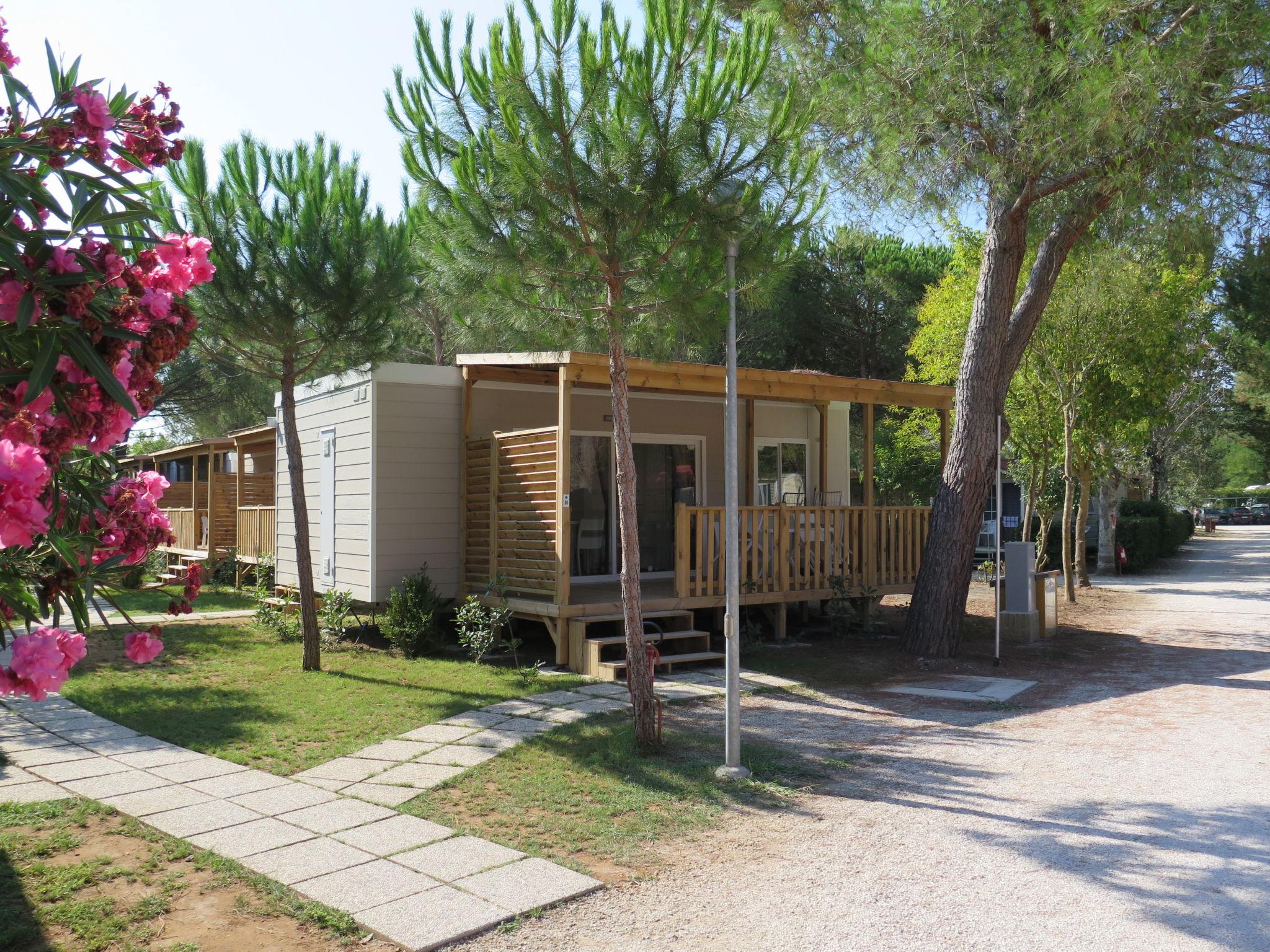 Photo 16 - Maison de 2 chambres à Bibbona avec piscine et jardin