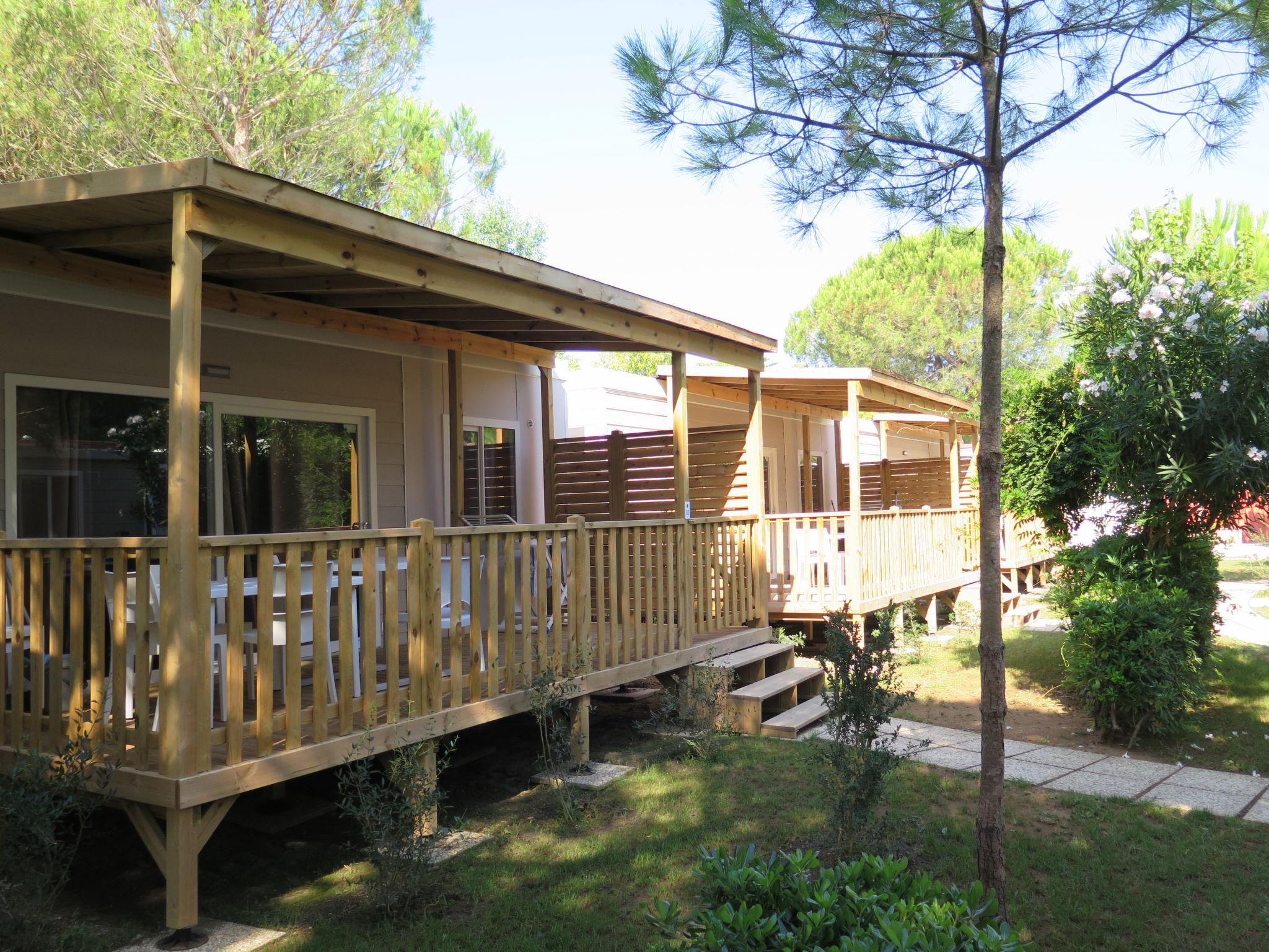 Photo 14 - Maison de 2 chambres à Bibbona avec piscine et jardin