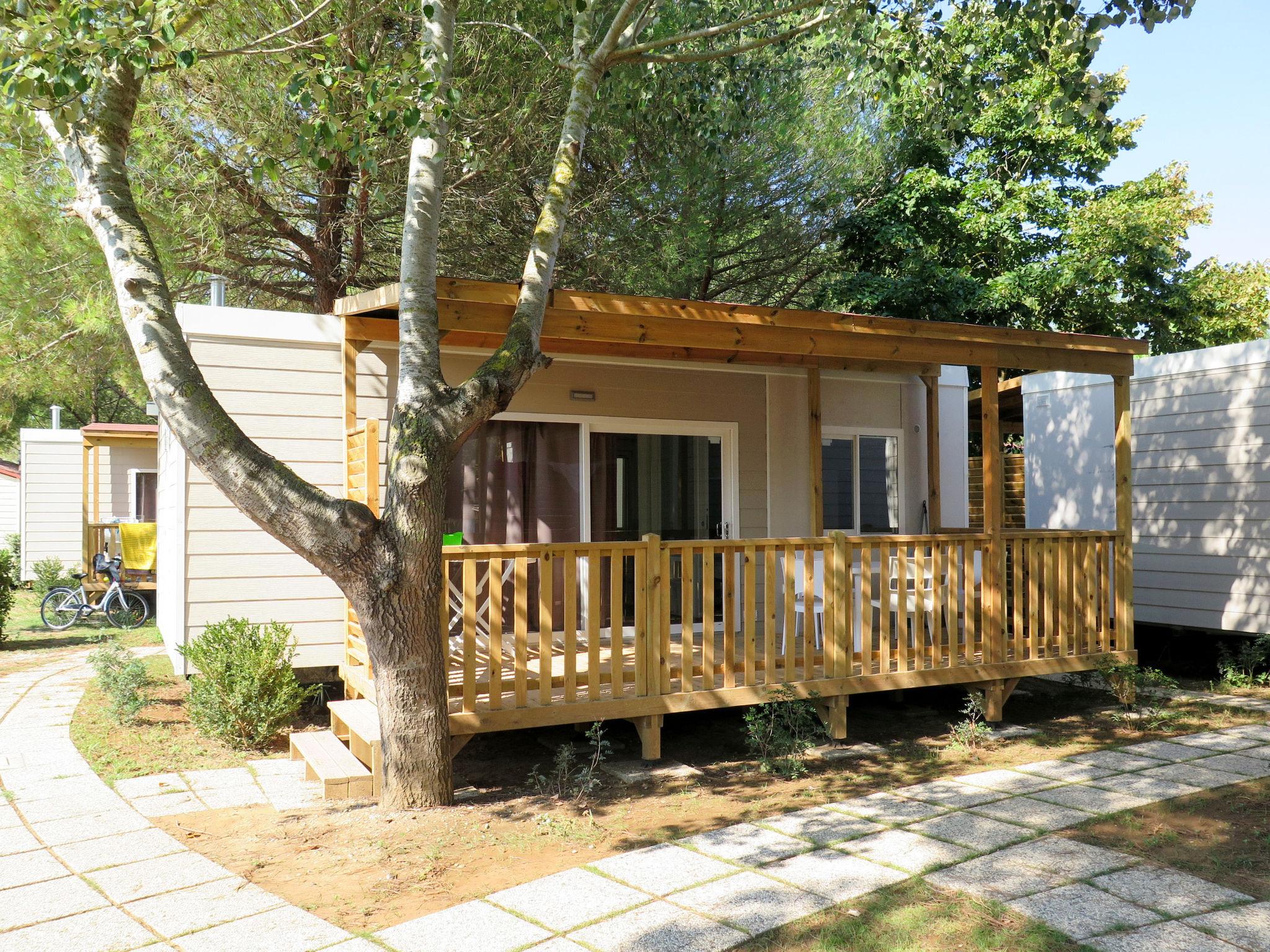 Photo 1 - Maison de 2 chambres à Bibbona avec piscine et jardin