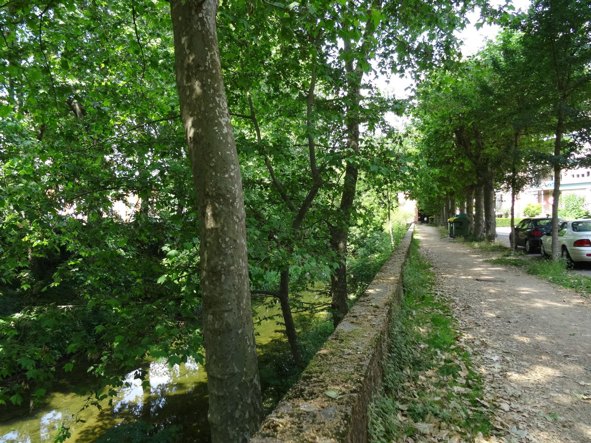 Photo 27 - Appartement de 2 chambres à Olot avec jardin