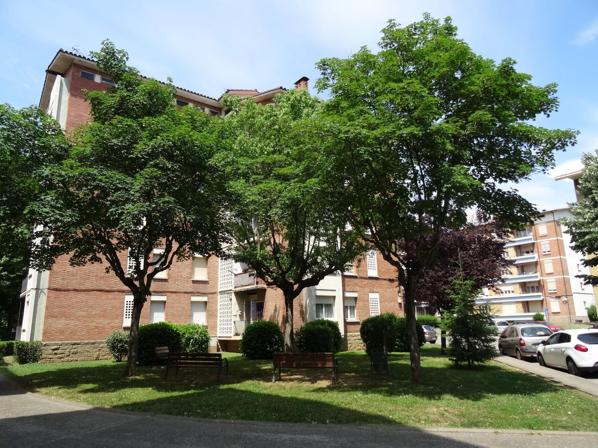 Foto 23 - Apartamento de 2 habitaciones en Olot con jardín