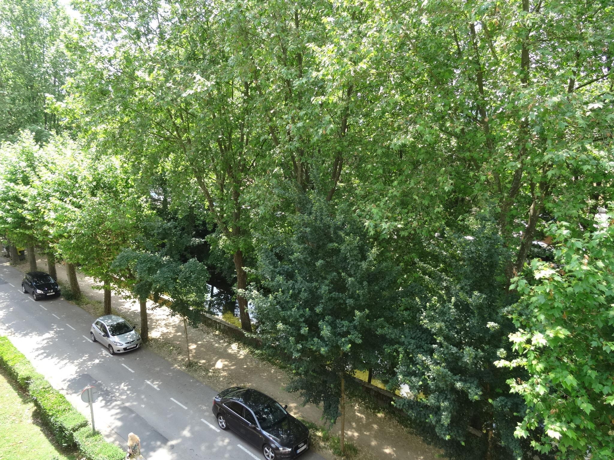 Photo 25 - 2 bedroom Apartment in Olot with garden