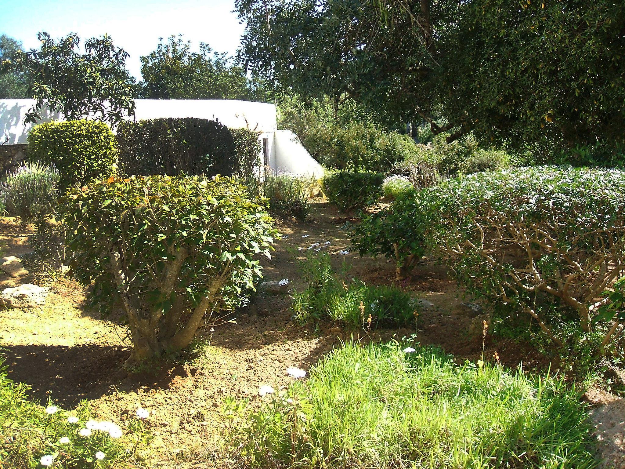 Foto 19 - Casa con 2 camere da letto a Lagoa con piscina privata e giardino