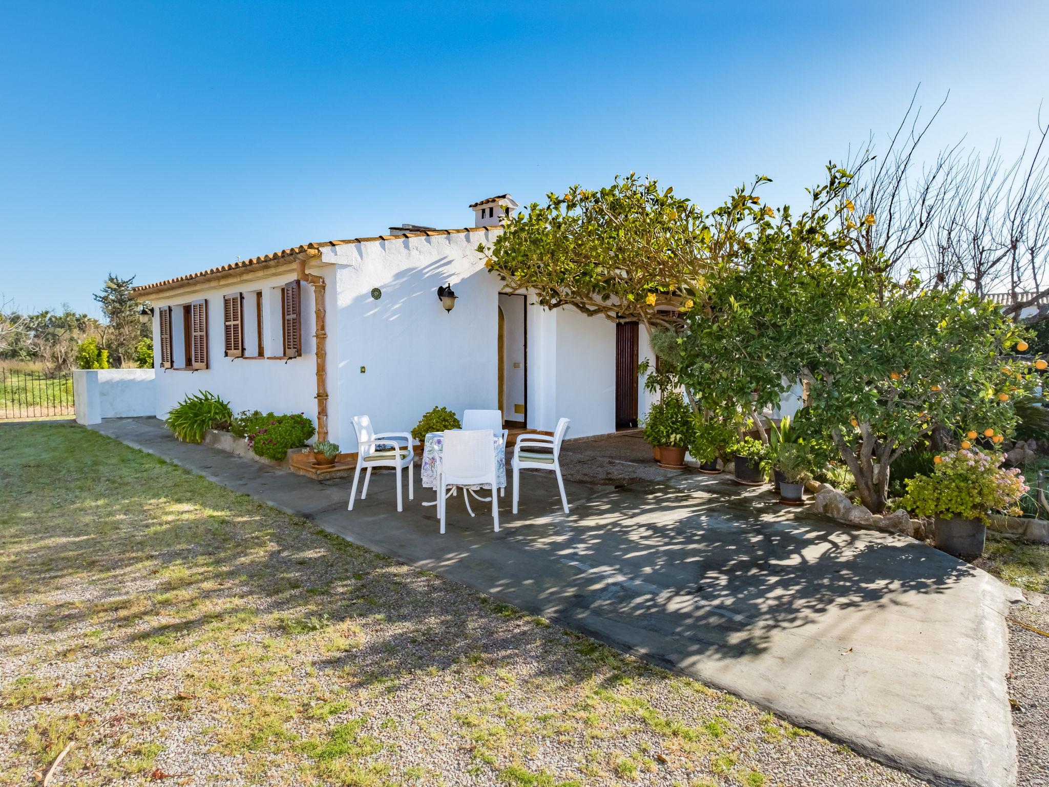 Photo 19 - 2 bedroom House in Pollença with garden and terrace