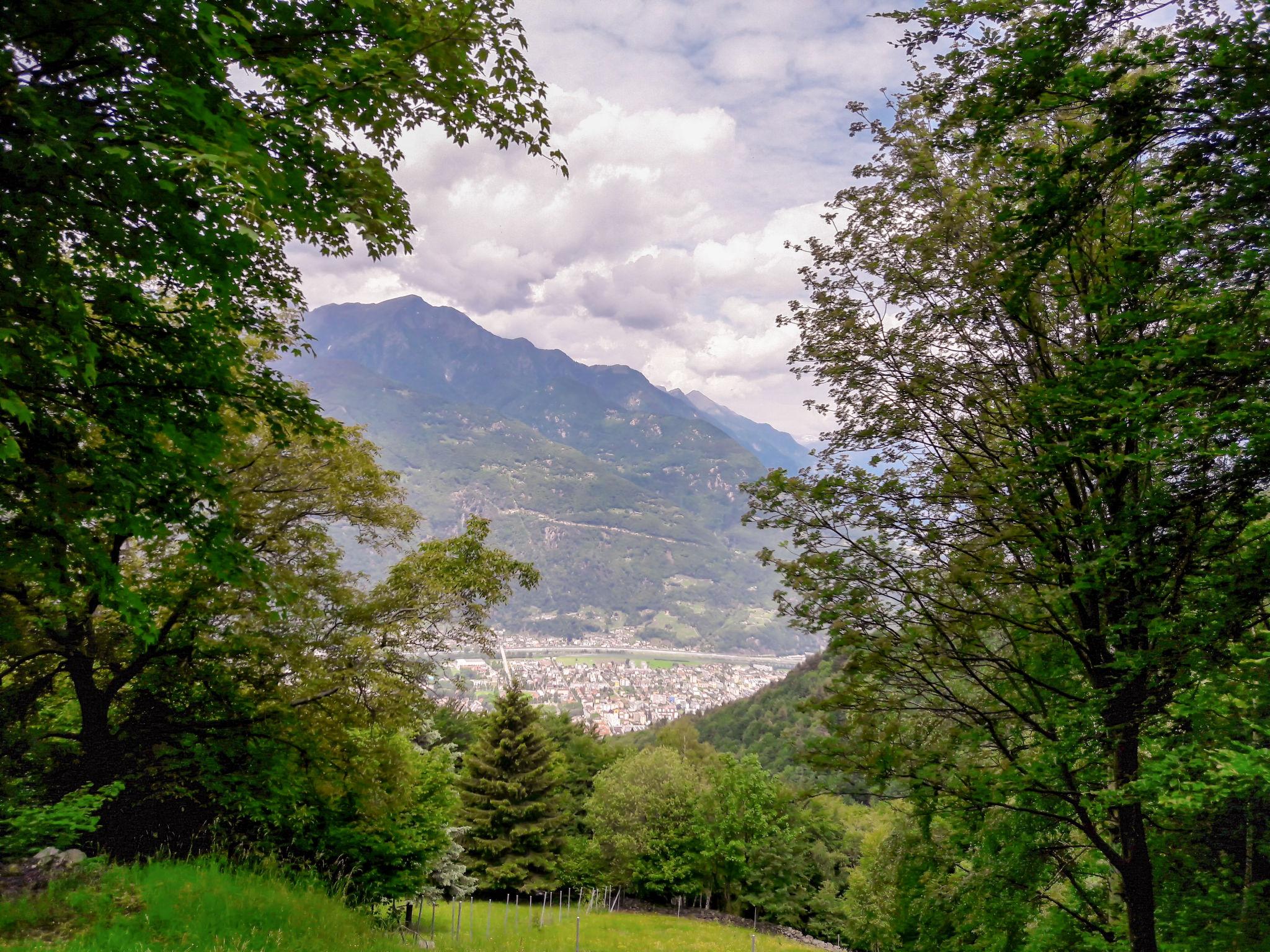 Photo 20 - 1 bedroom House in Bellinzona with garden and mountain view