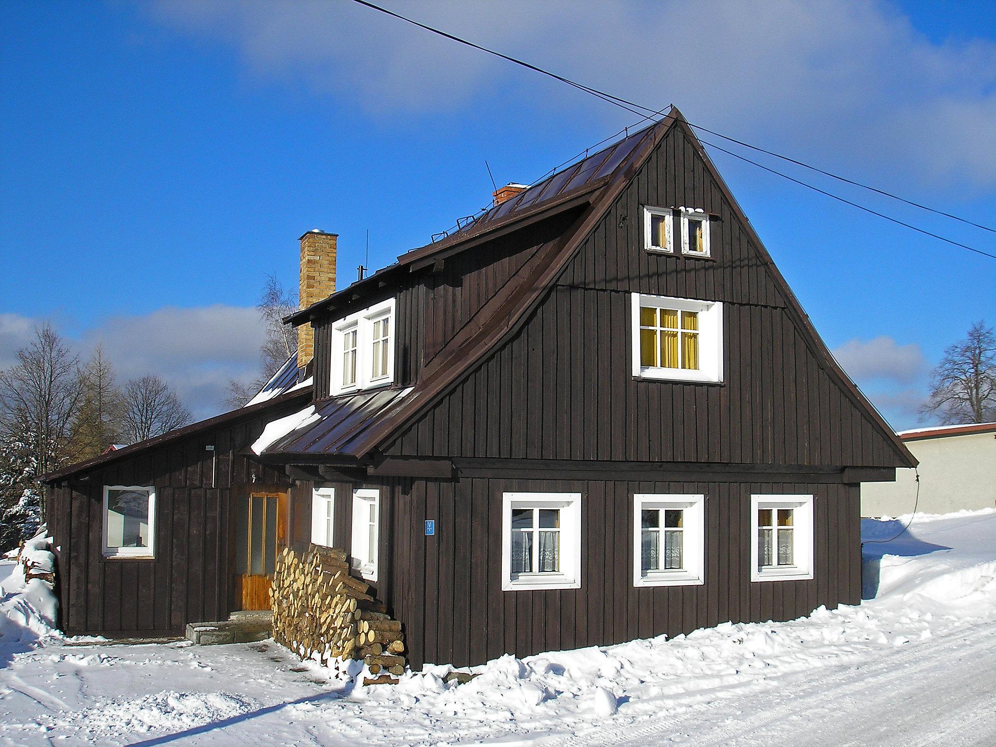 Foto 15 - Haus mit 4 Schlafzimmern in Kořenov mit garten