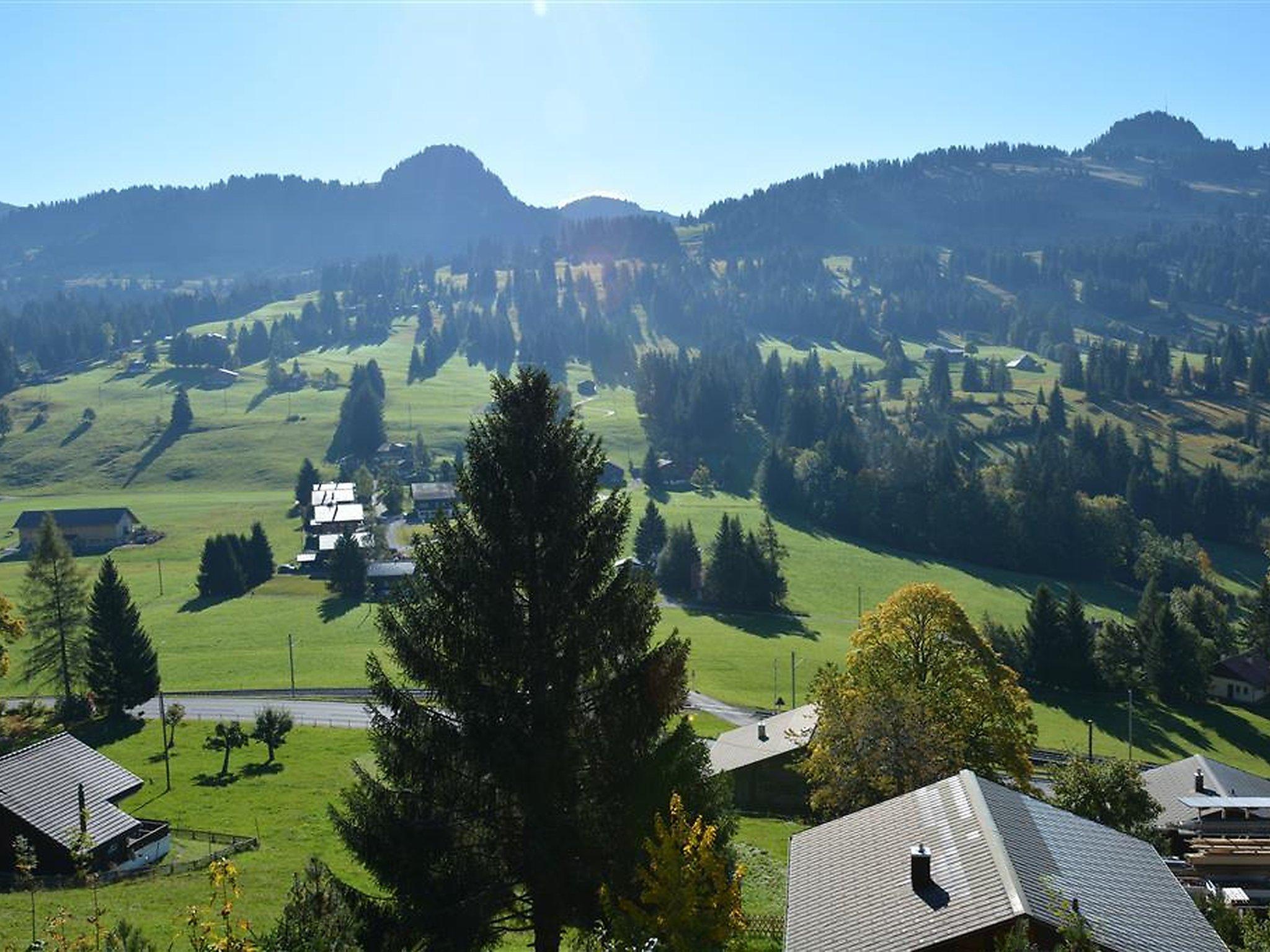 Photo 8 - 5 bedroom Apartment in Saanen