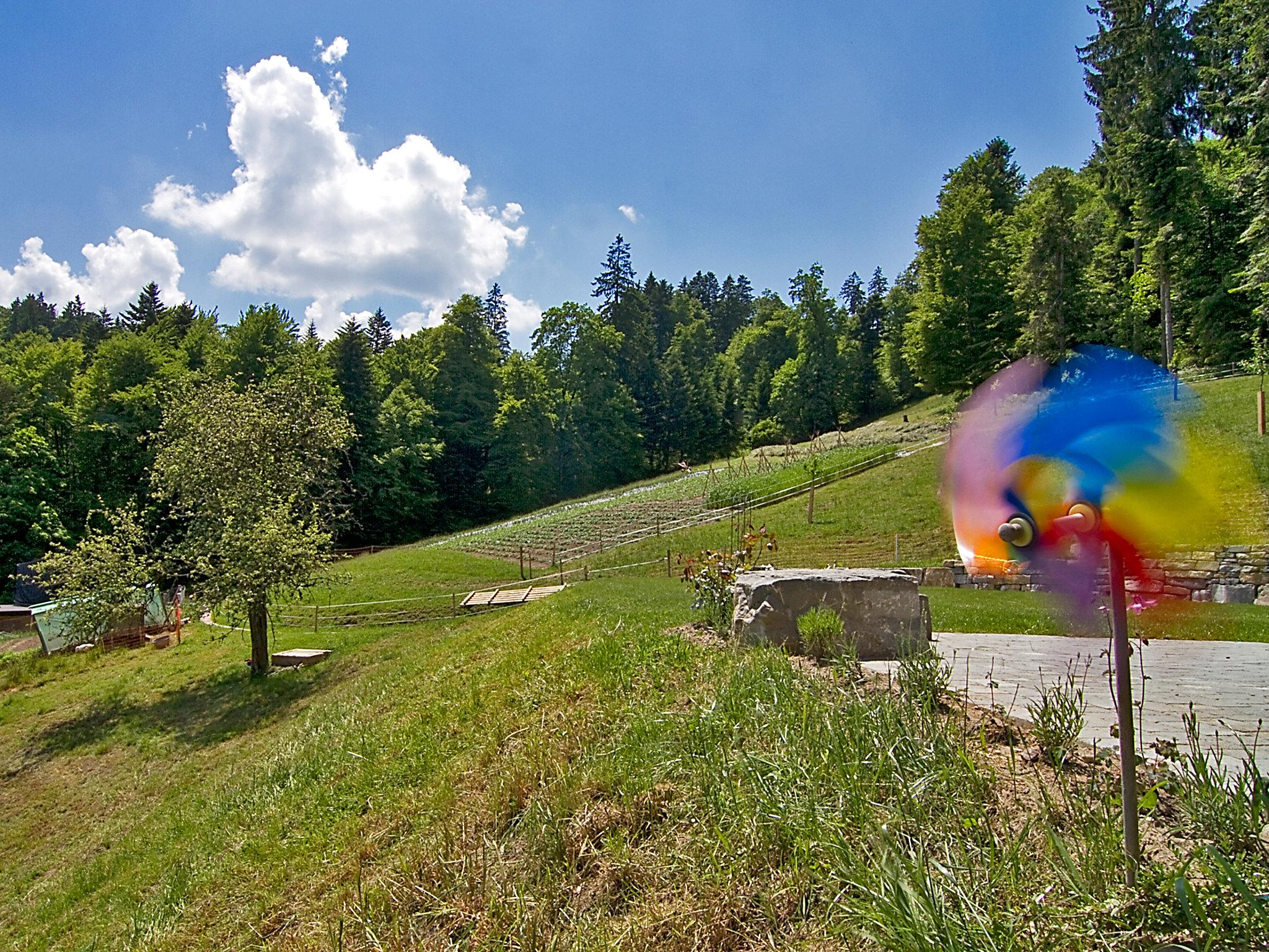 Foto 12 - Appartamento con 1 camera da letto a Hasle bei Burgdorf con giardino e terrazza