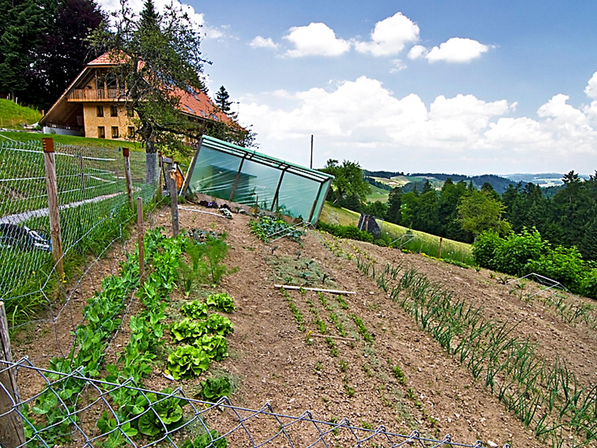 Foto 10 - Appartamento con 1 camera da letto a Hasle bei Burgdorf con giardino e terrazza