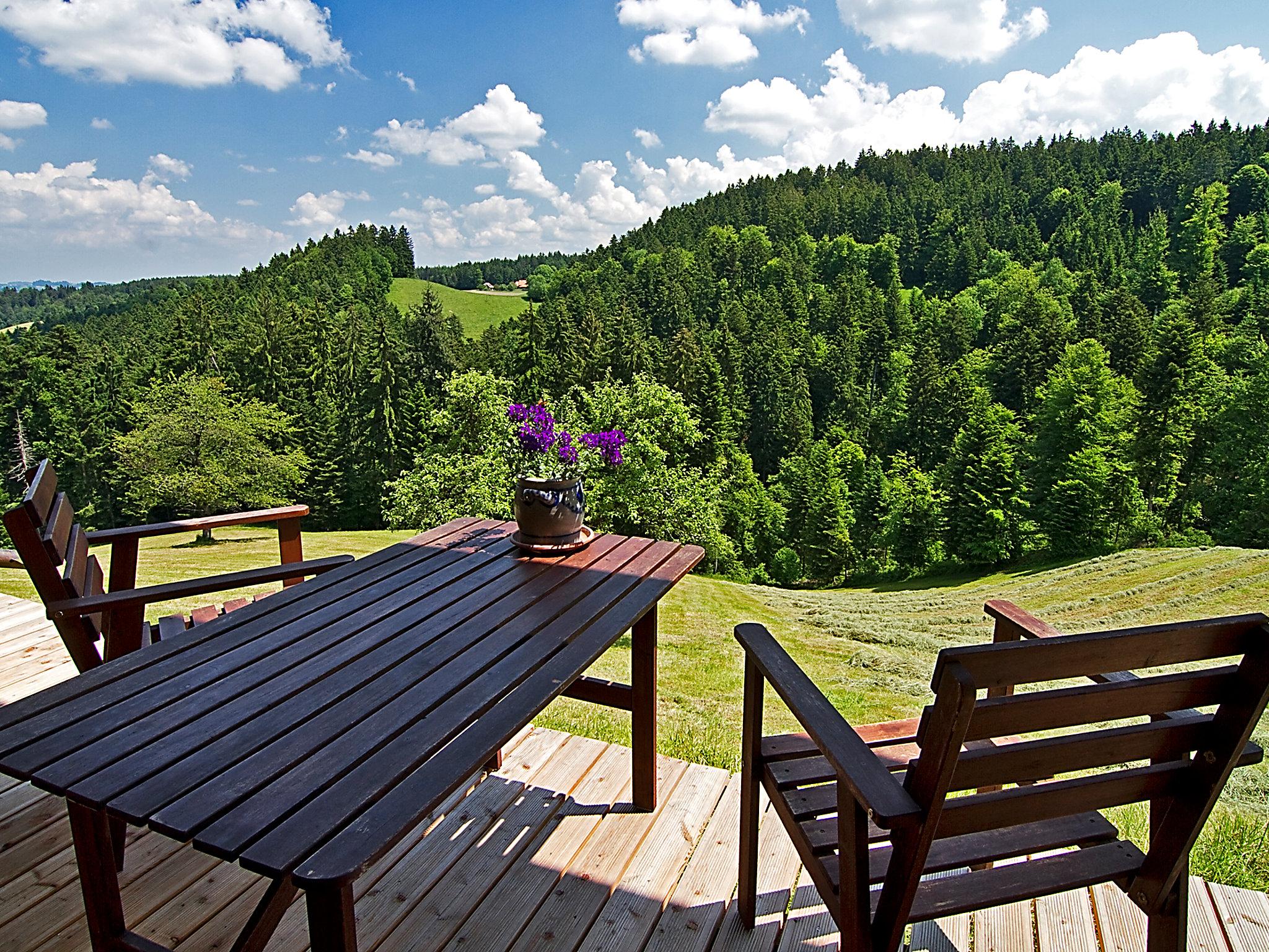 Photo 6 - Appartement de 1 chambre à Hasle bei Burgdorf avec jardin et terrasse