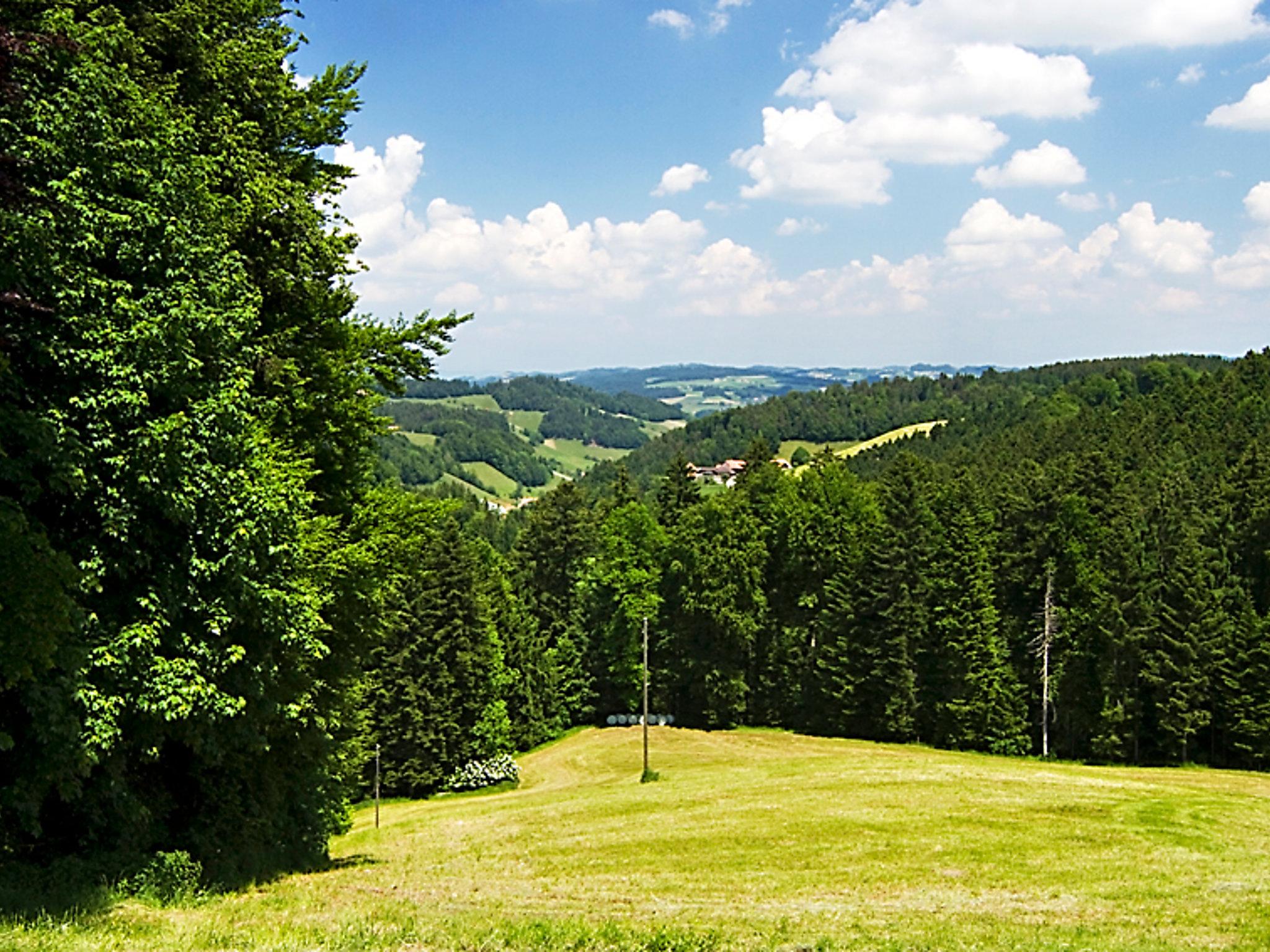 Photo 11 - 1 bedroom Apartment in Hasle bei Burgdorf with garden and terrace