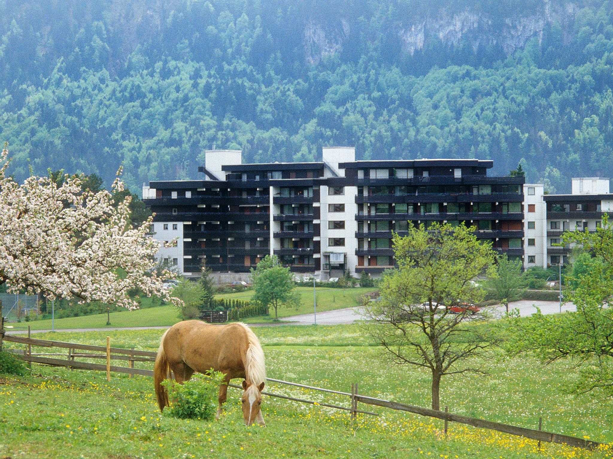 Foto 1 - Appartamento con 1 camera da letto a Füssen con piscina e vista sulle montagne