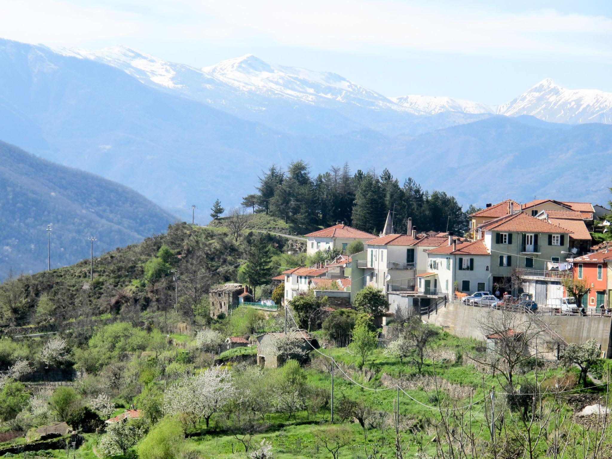 Photo 18 - Maison de 2 chambres à Caravonica avec jardin et terrasse