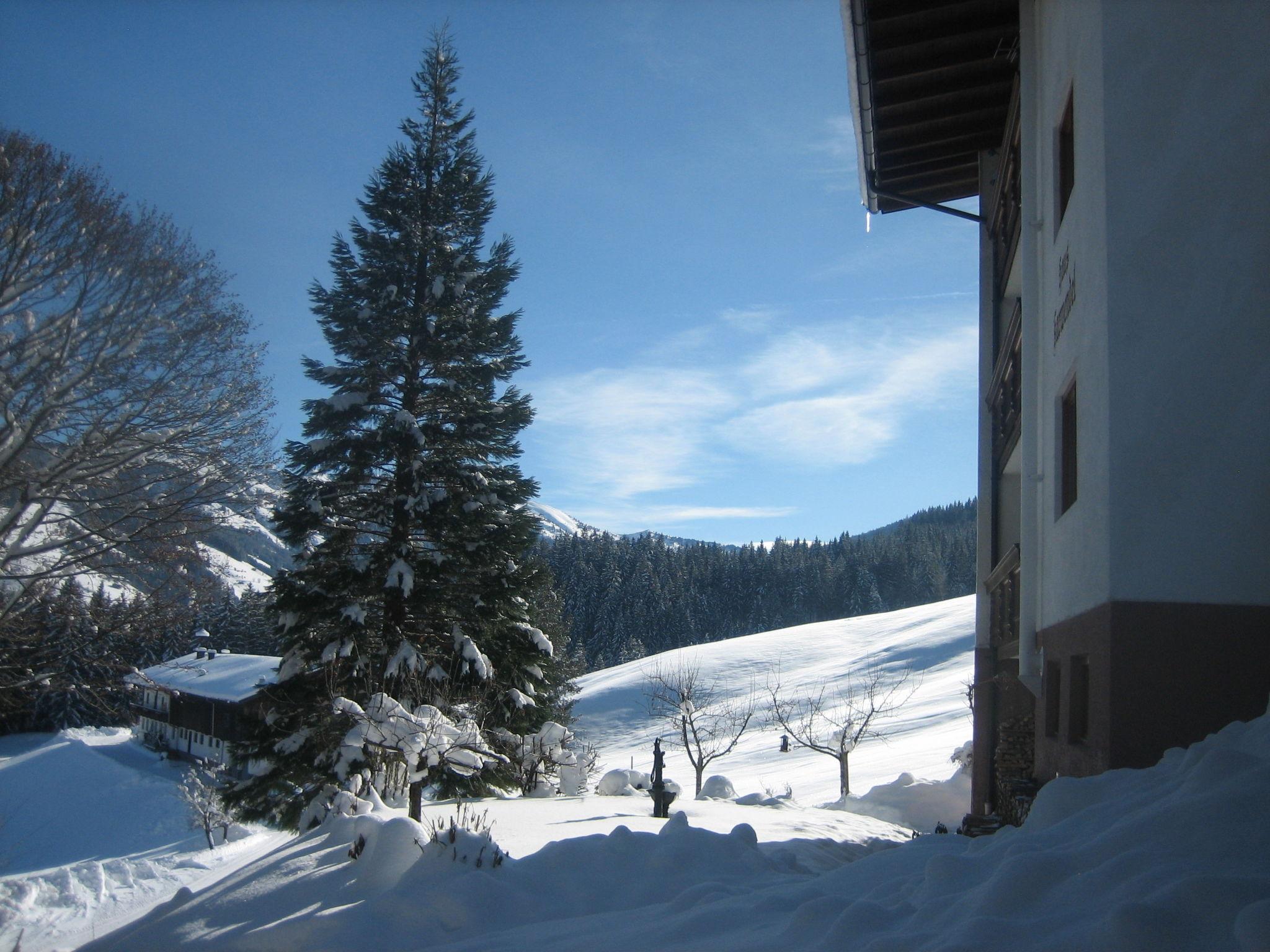 Photo 32 - 1 bedroom Apartment in Wildschönau with garden and mountain view