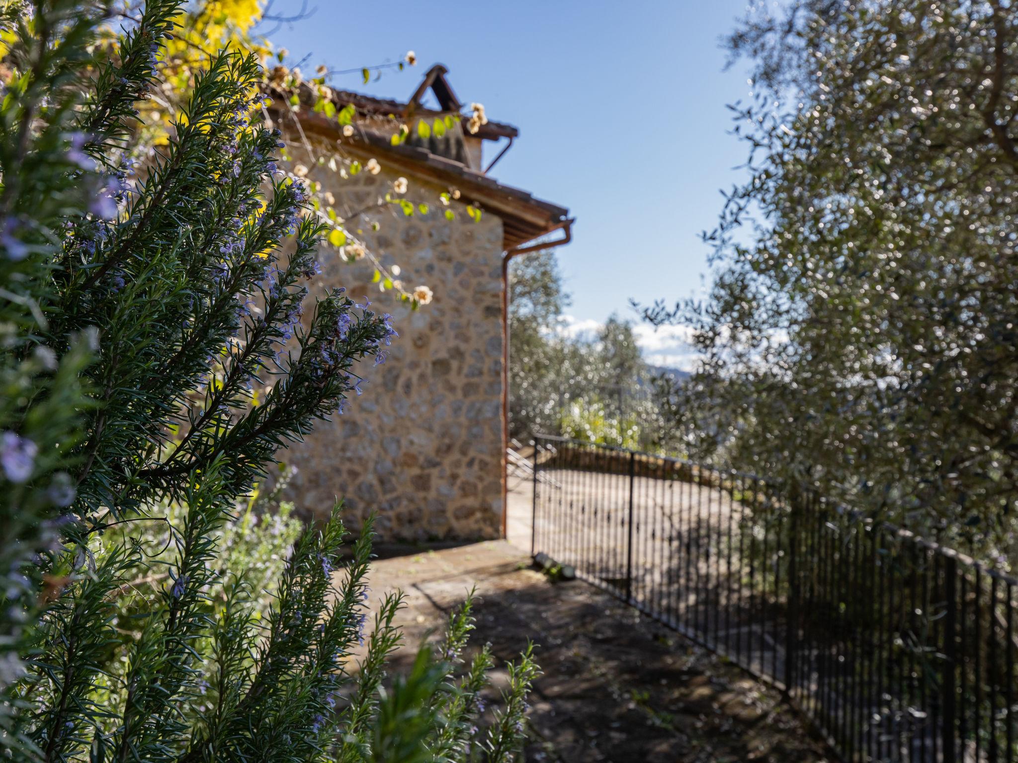 Photo 55 - Maison de 2 chambres à Camaiore avec jardin et vues à la mer