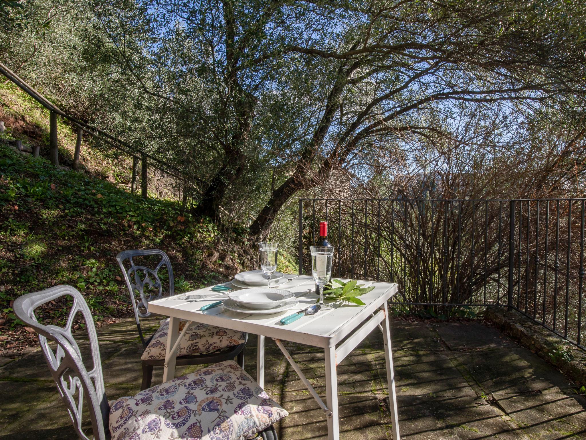 Foto 49 - Casa de 2 habitaciones en Camaiore con jardín y terraza