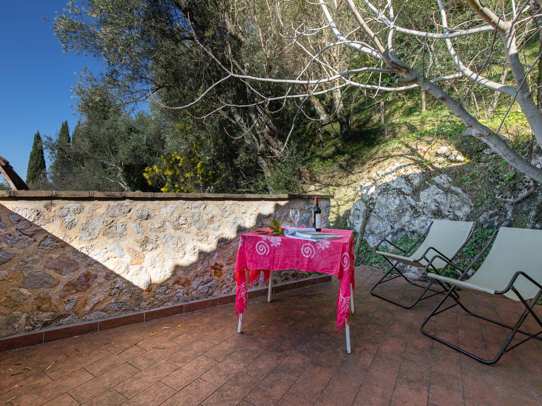 Photo 48 - 2 bedroom House in Camaiore with garden and sea view