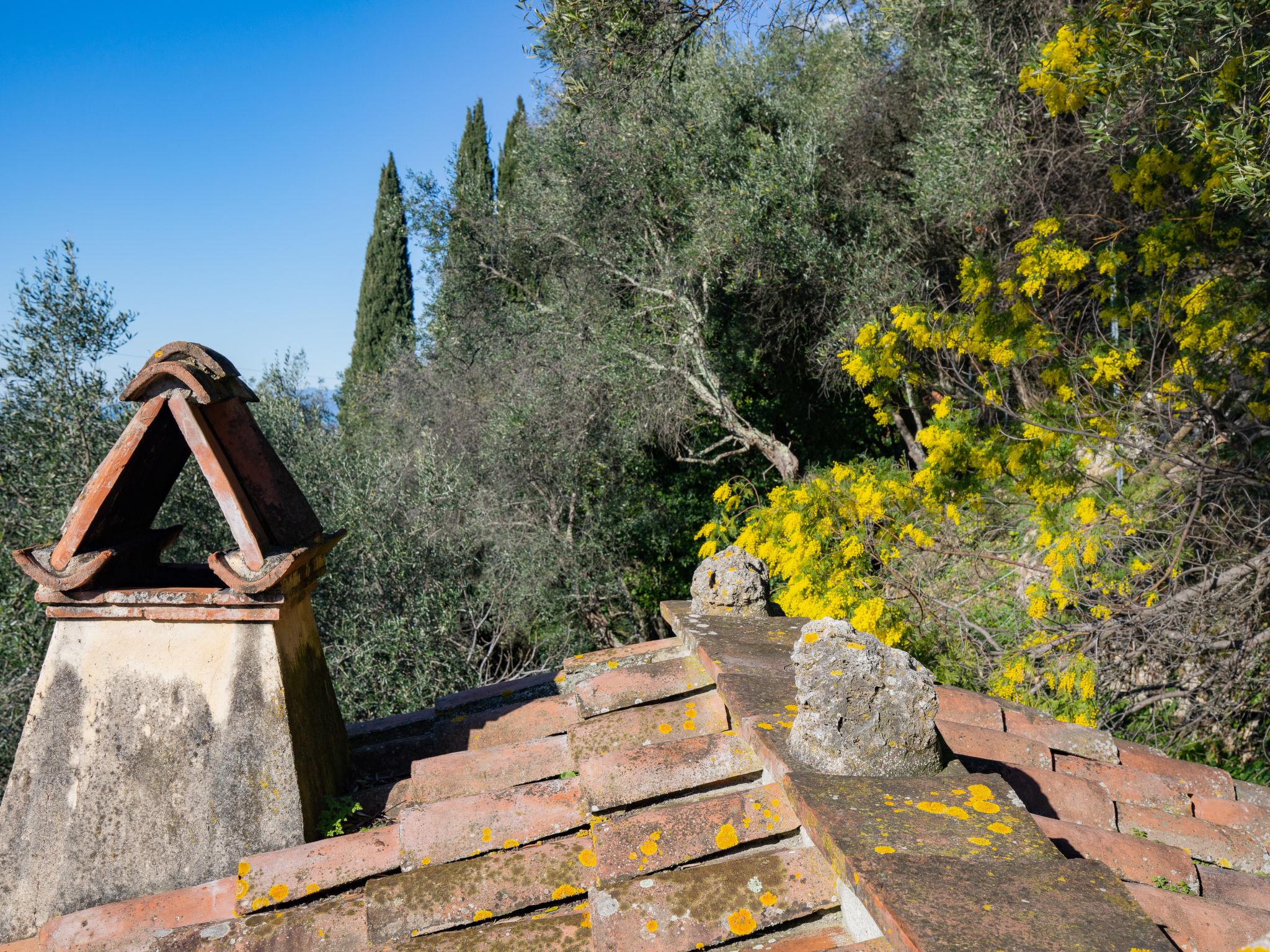 Photo 62 - Maison de 2 chambres à Camaiore avec jardin et vues à la mer