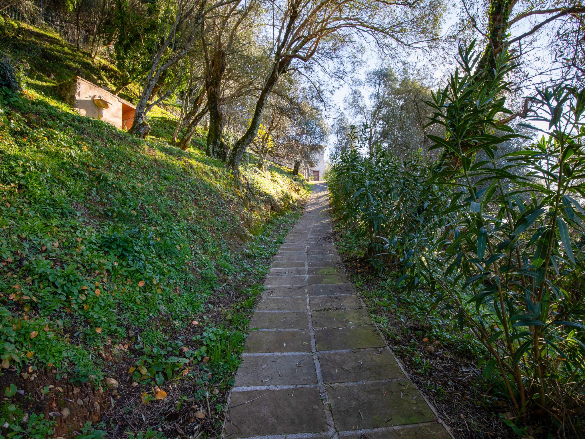 Photo 37 - Maison de 2 chambres à Camaiore avec jardin et vues à la mer