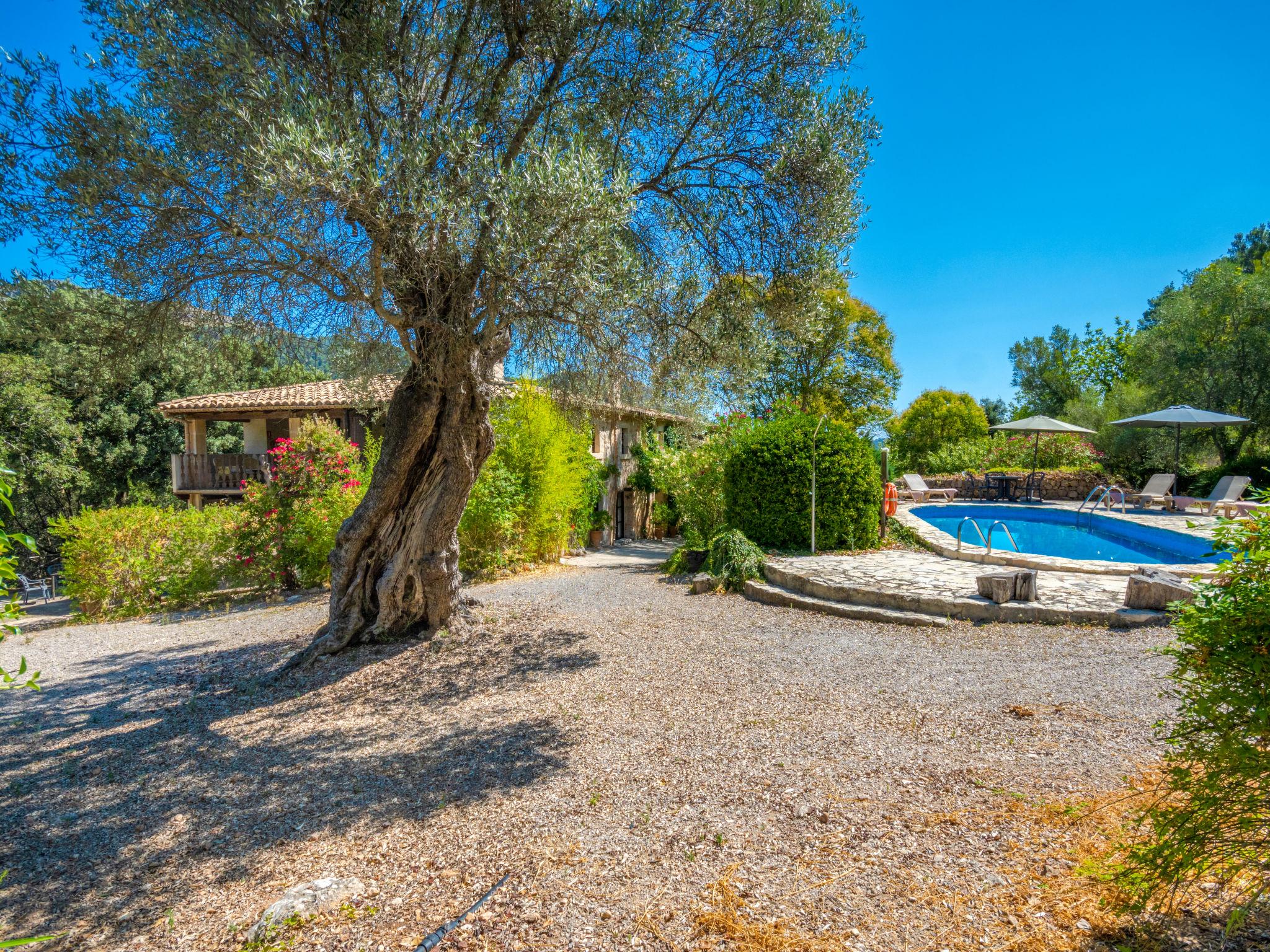 Foto 7 - Casa de 6 habitaciones en Pollença con piscina privada y jardín