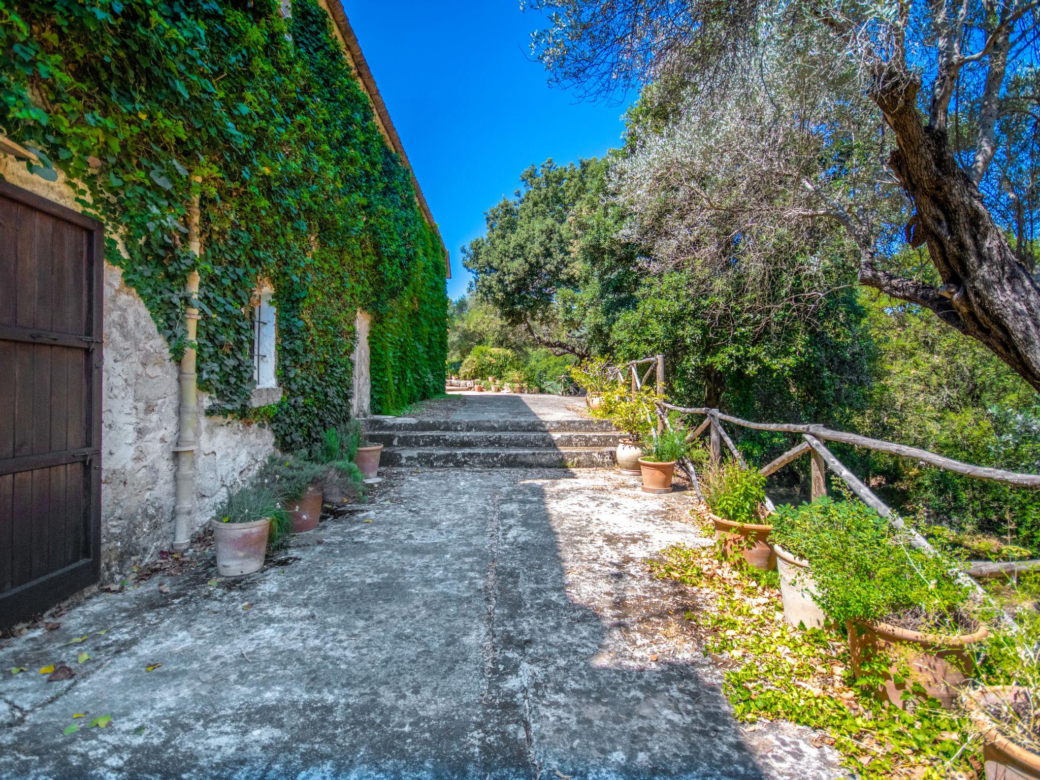 Foto 75 - Casa de 6 quartos em Pollença com piscina privada e jardim