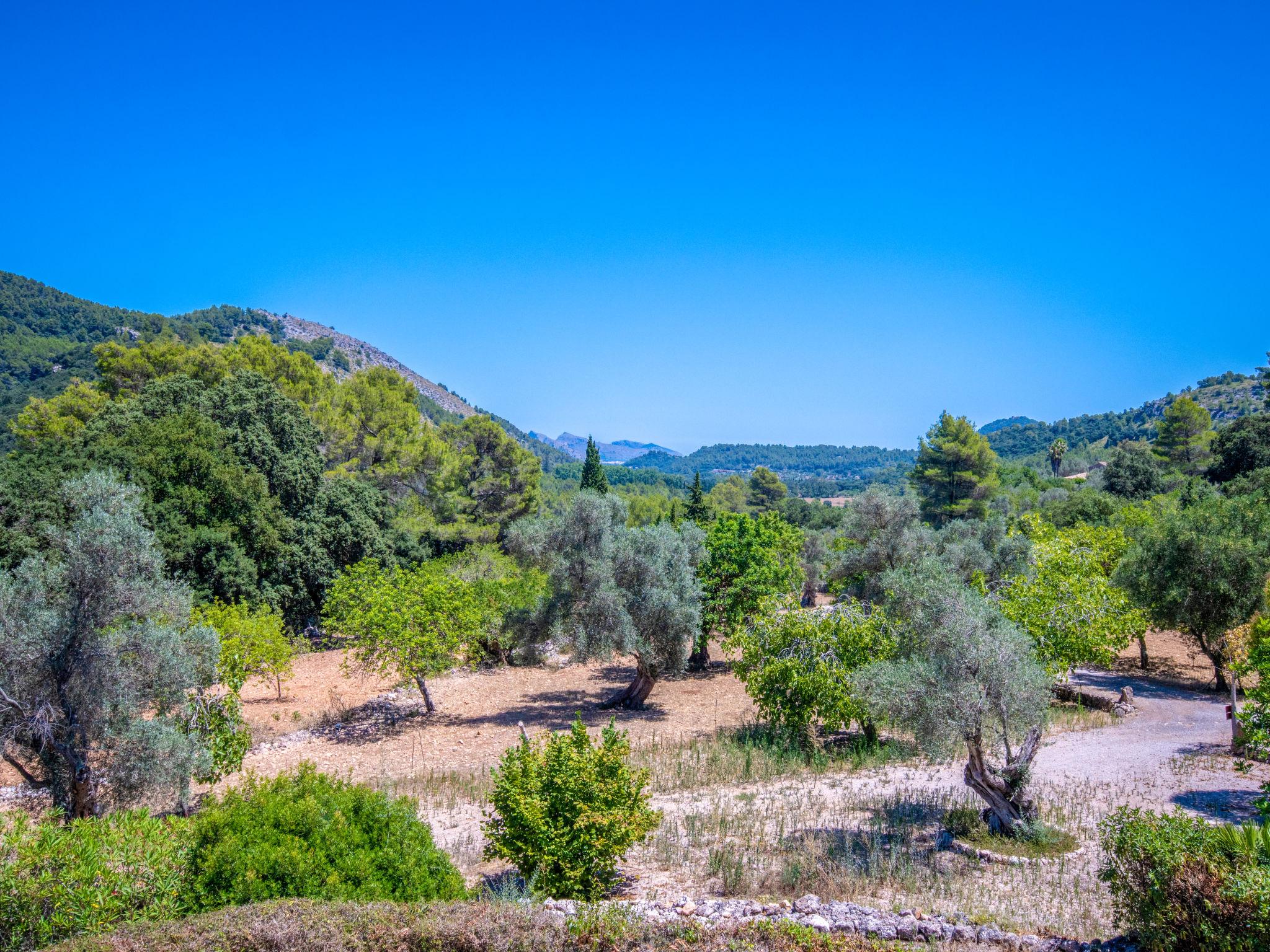 Photo 78 - 6 bedroom House in Pollença with private pool and garden