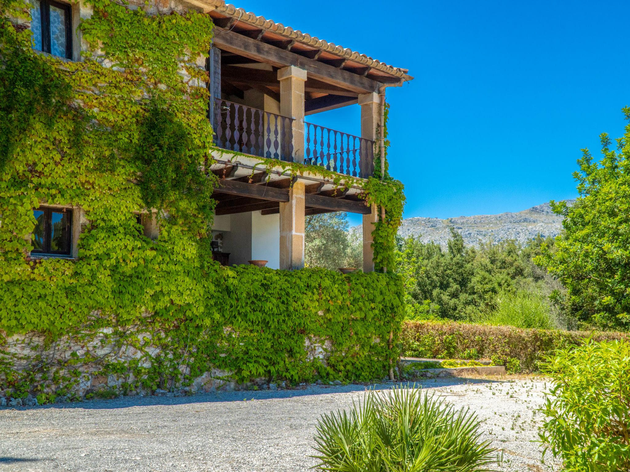 Photo 77 - 6 bedroom House in Pollença with private pool and garden