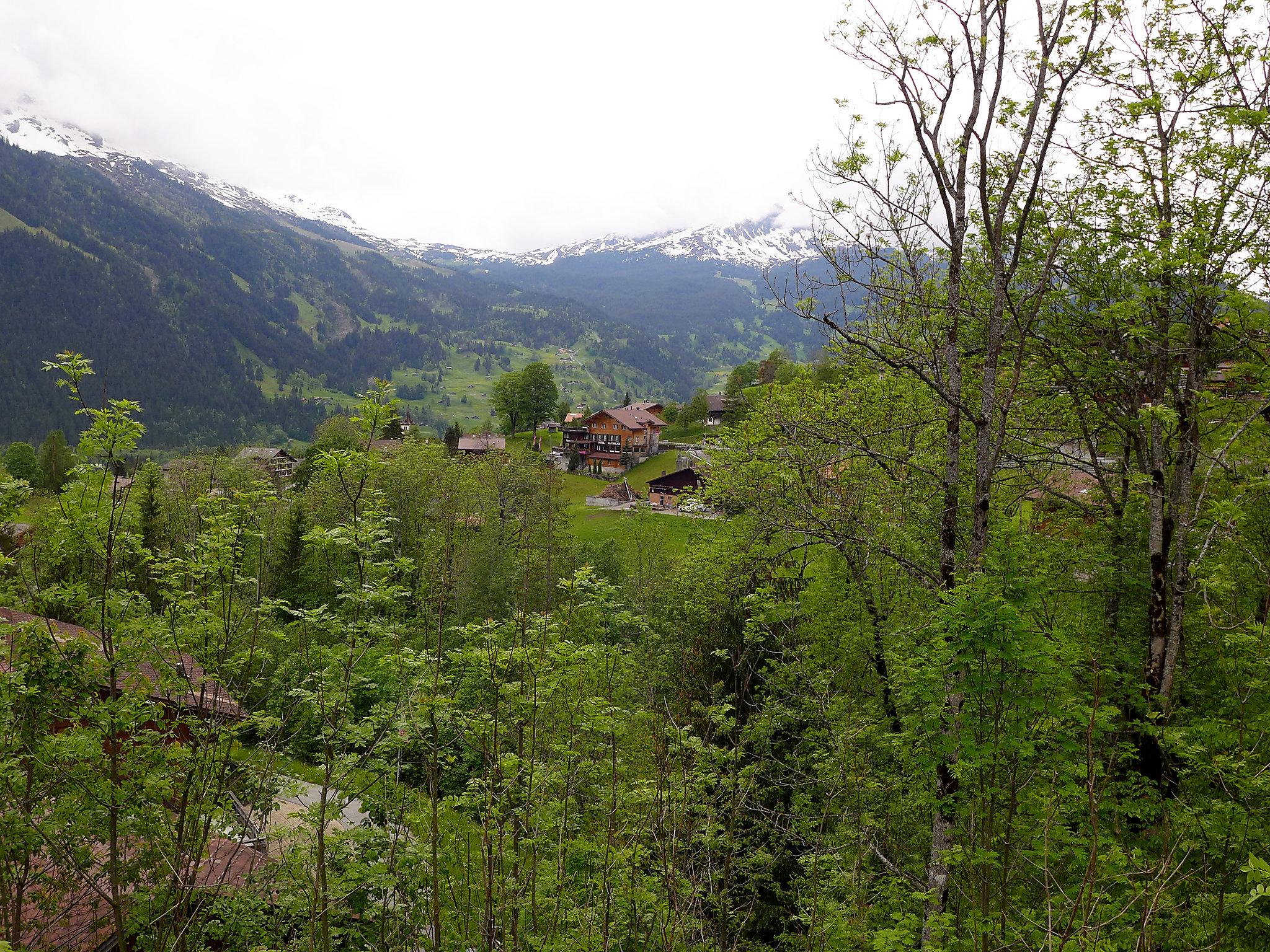 Foto 14 - Haus mit 3 Schlafzimmern in Grindelwald mit terrasse und blick auf die berge