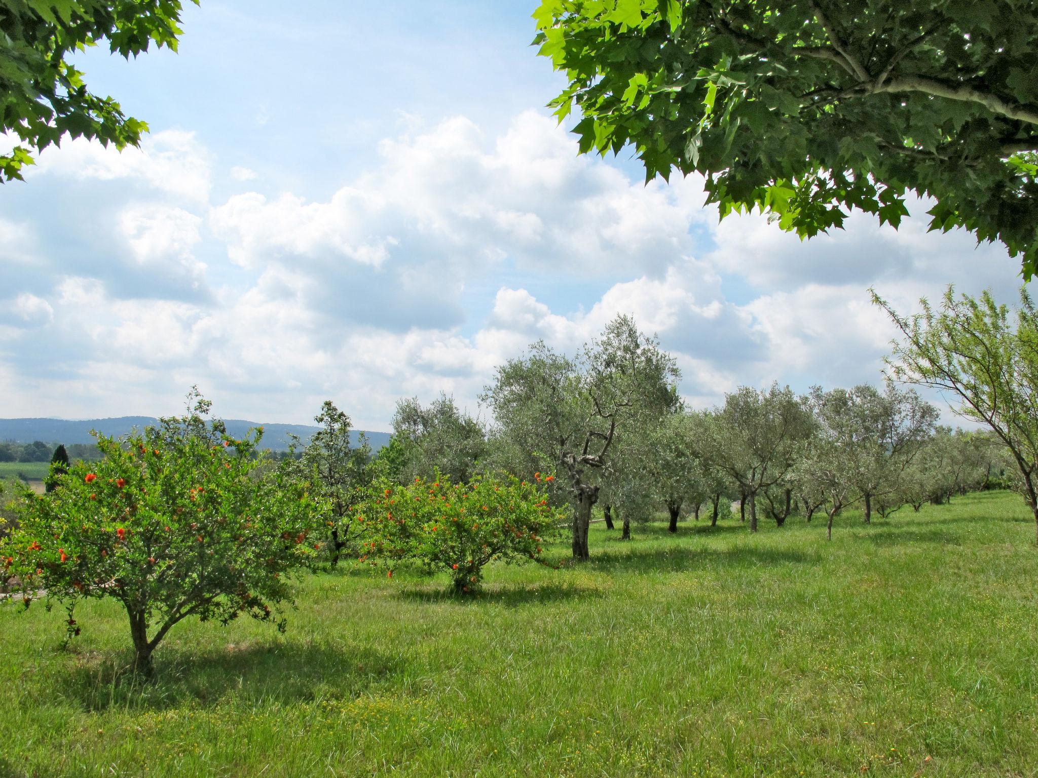 Photo 10 - 4 bedroom House in Fayence with garden and terrace