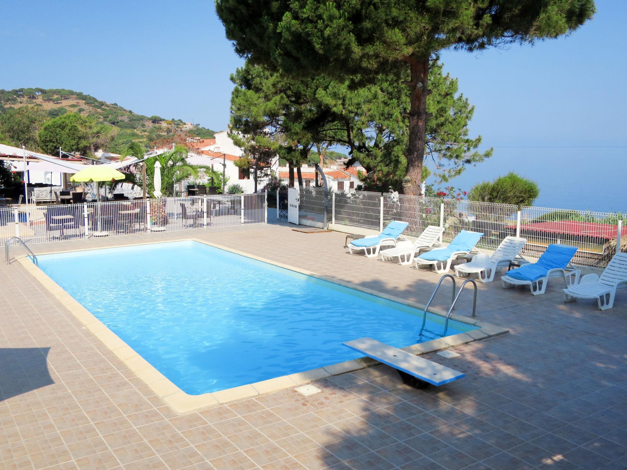 Photo 3 - 1 bedroom Apartment in Calcatoggio with swimming pool and sea view