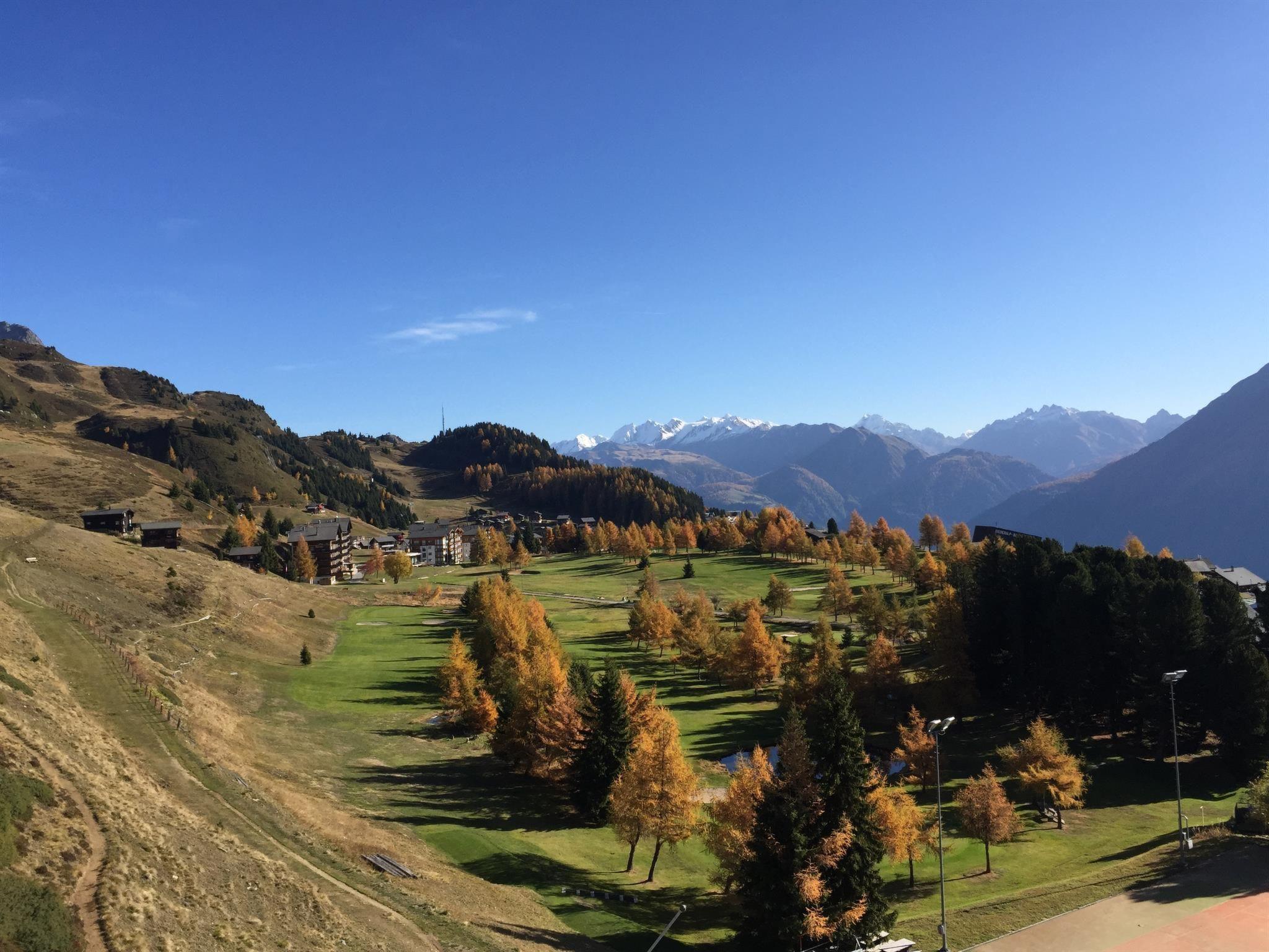 Foto 63 - Appartamento con 2 camere da letto a Riederalp