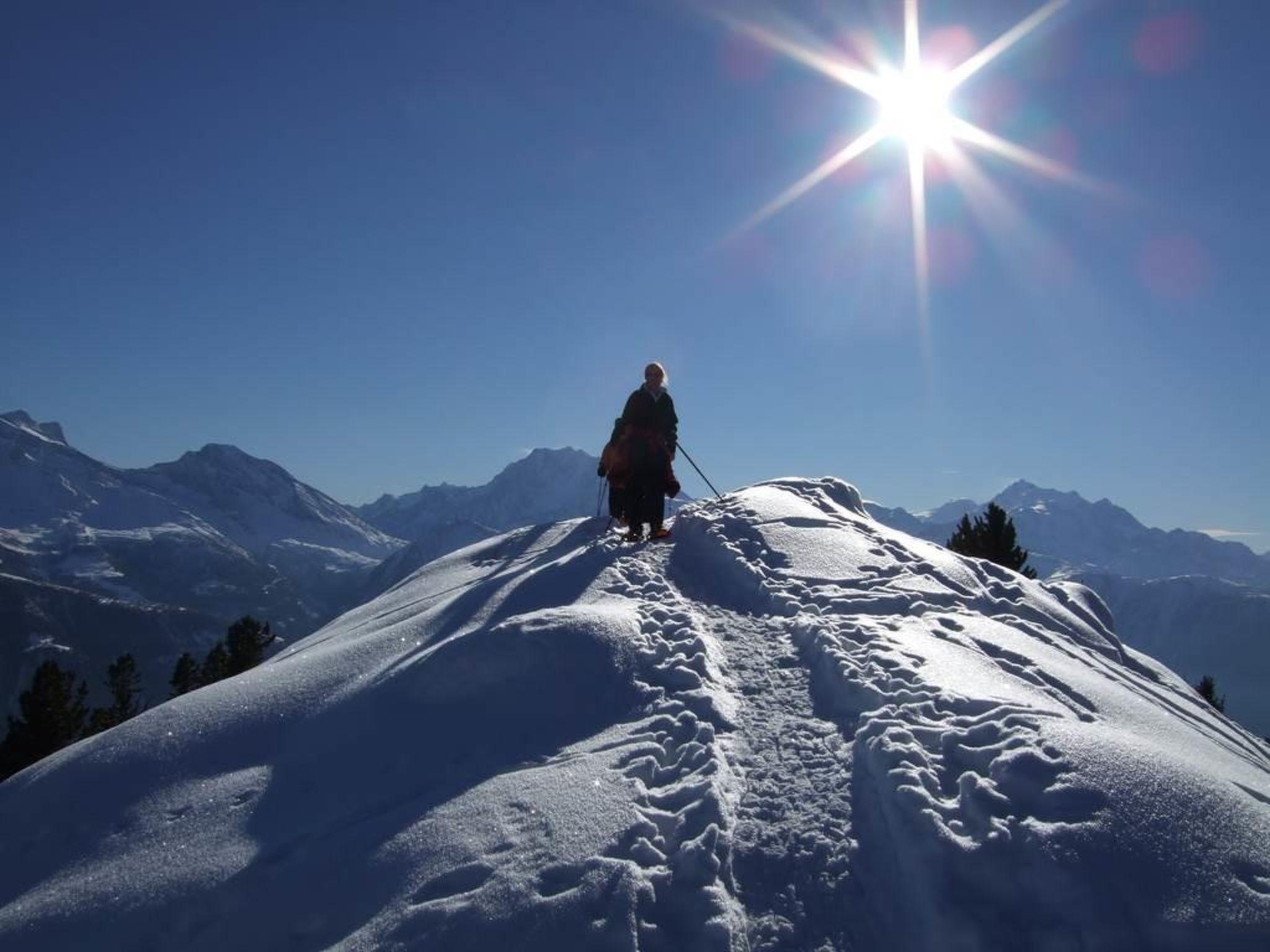 Foto 48 - Appartamento con 2 camere da letto a Riederalp