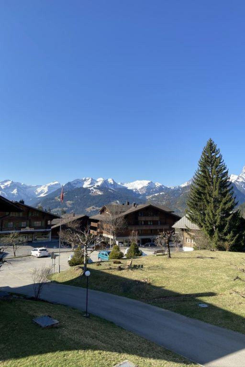 Photo 15 - 2 bedroom Apartment in Saanen