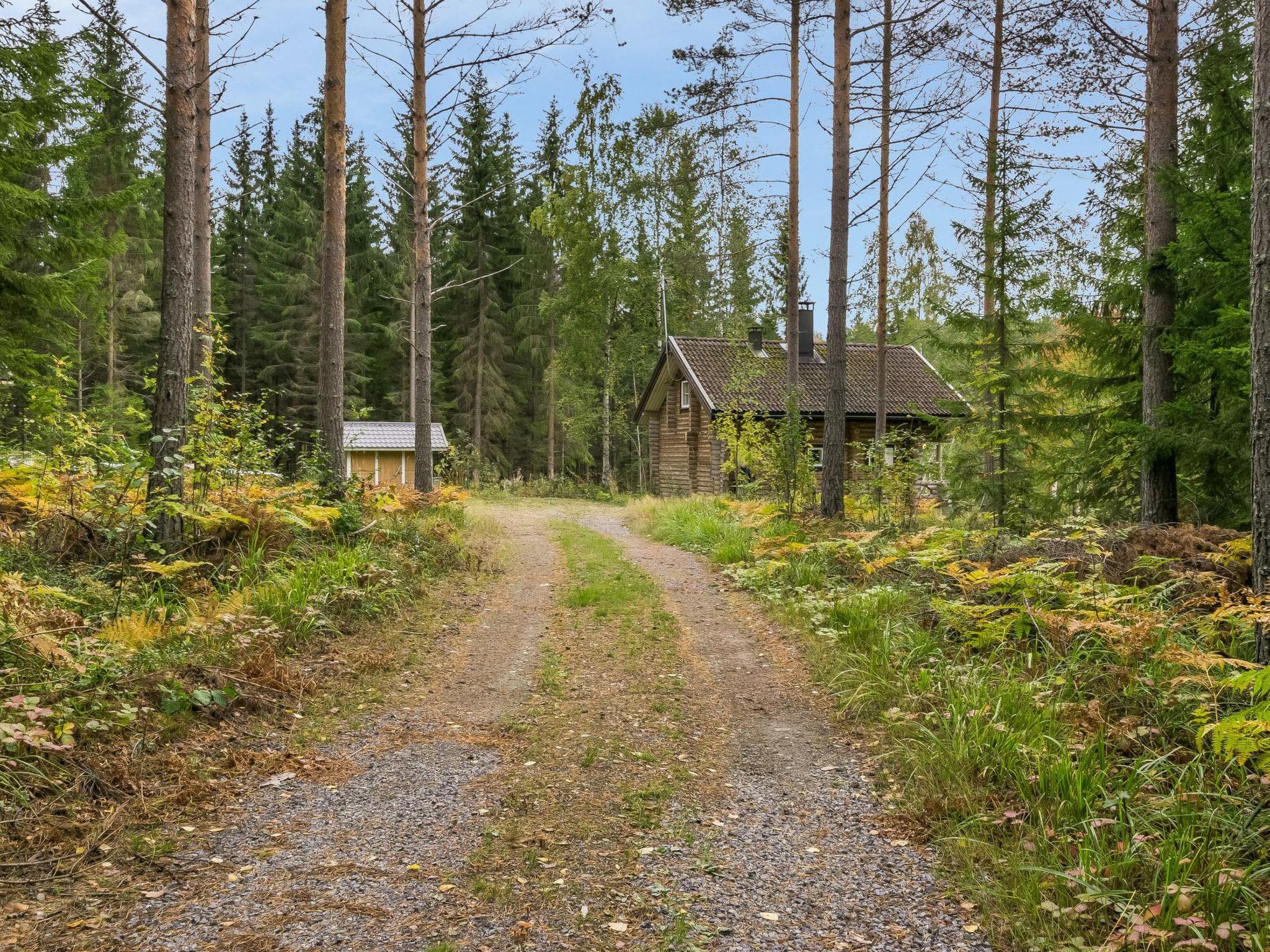 Photo 29 - Maison de 1 chambre à Mikkeli avec sauna
