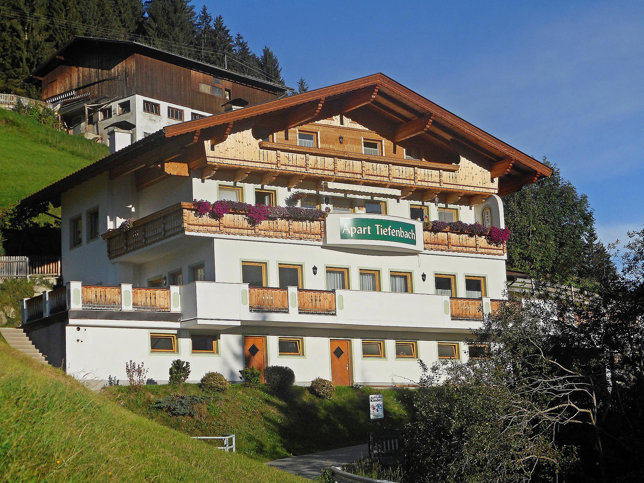 Photo 11 - Appartement de 2 chambres à Aschau im Zillertal avec vues sur la montagne