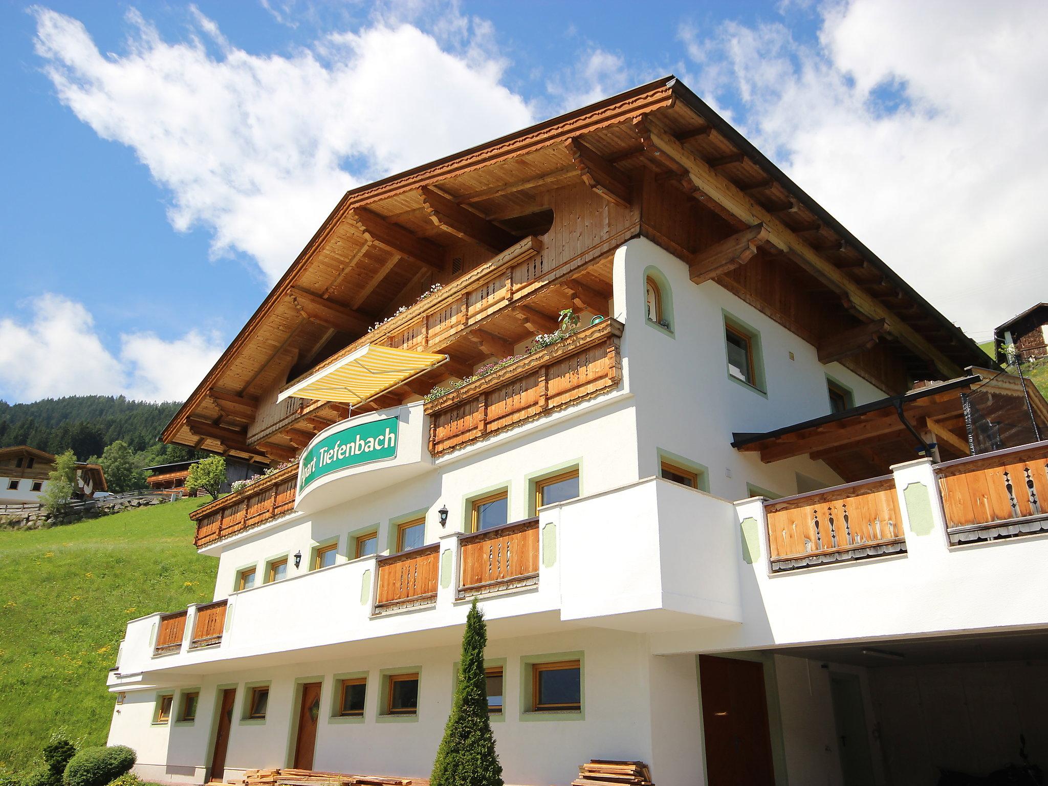 Foto 4 - Appartamento con 2 camere da letto a Aschau im Zillertal con vista sulle montagne