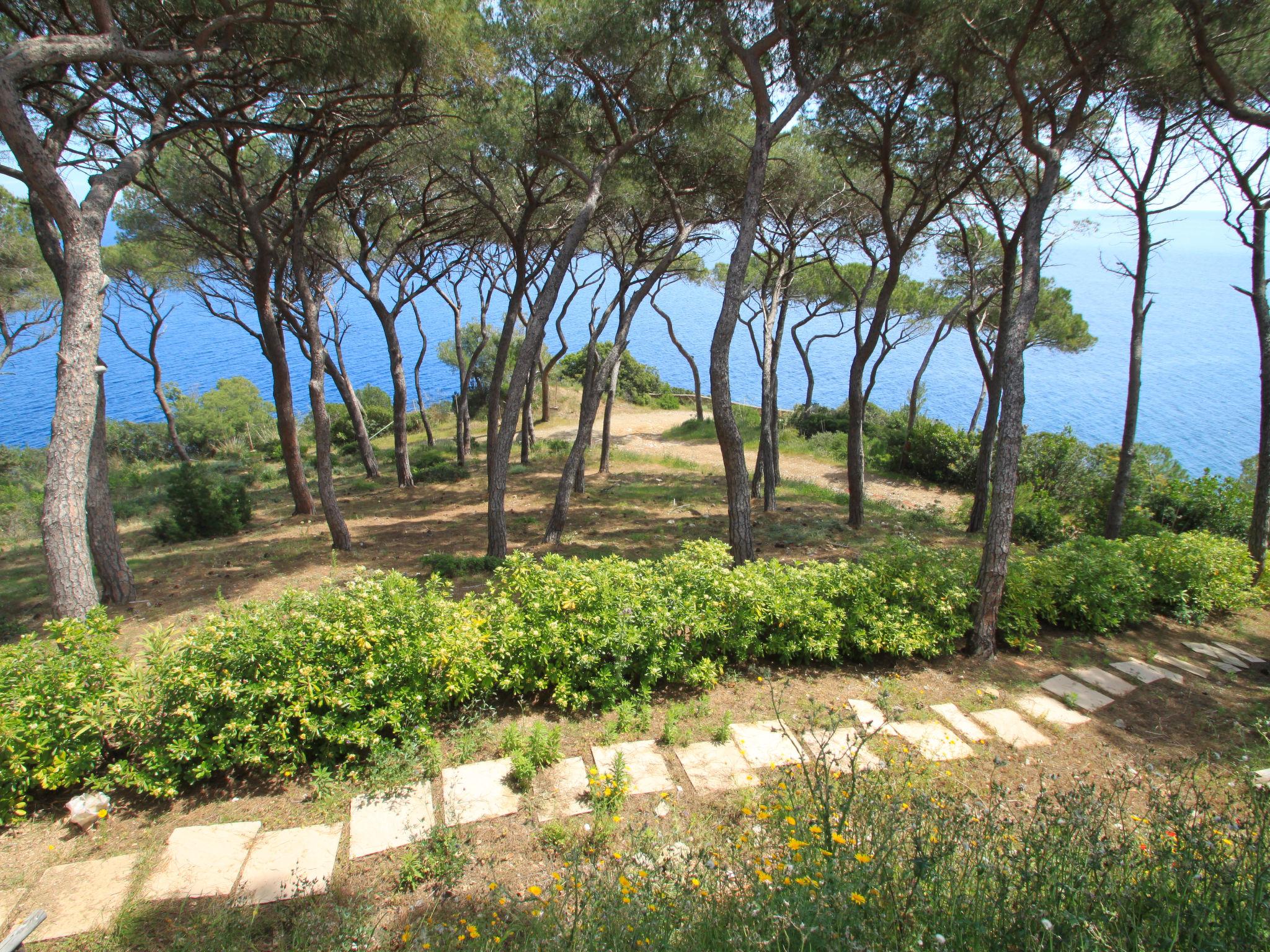 Foto 15 - Appartamento con 2 camere da letto a Rio con piscina e vista mare